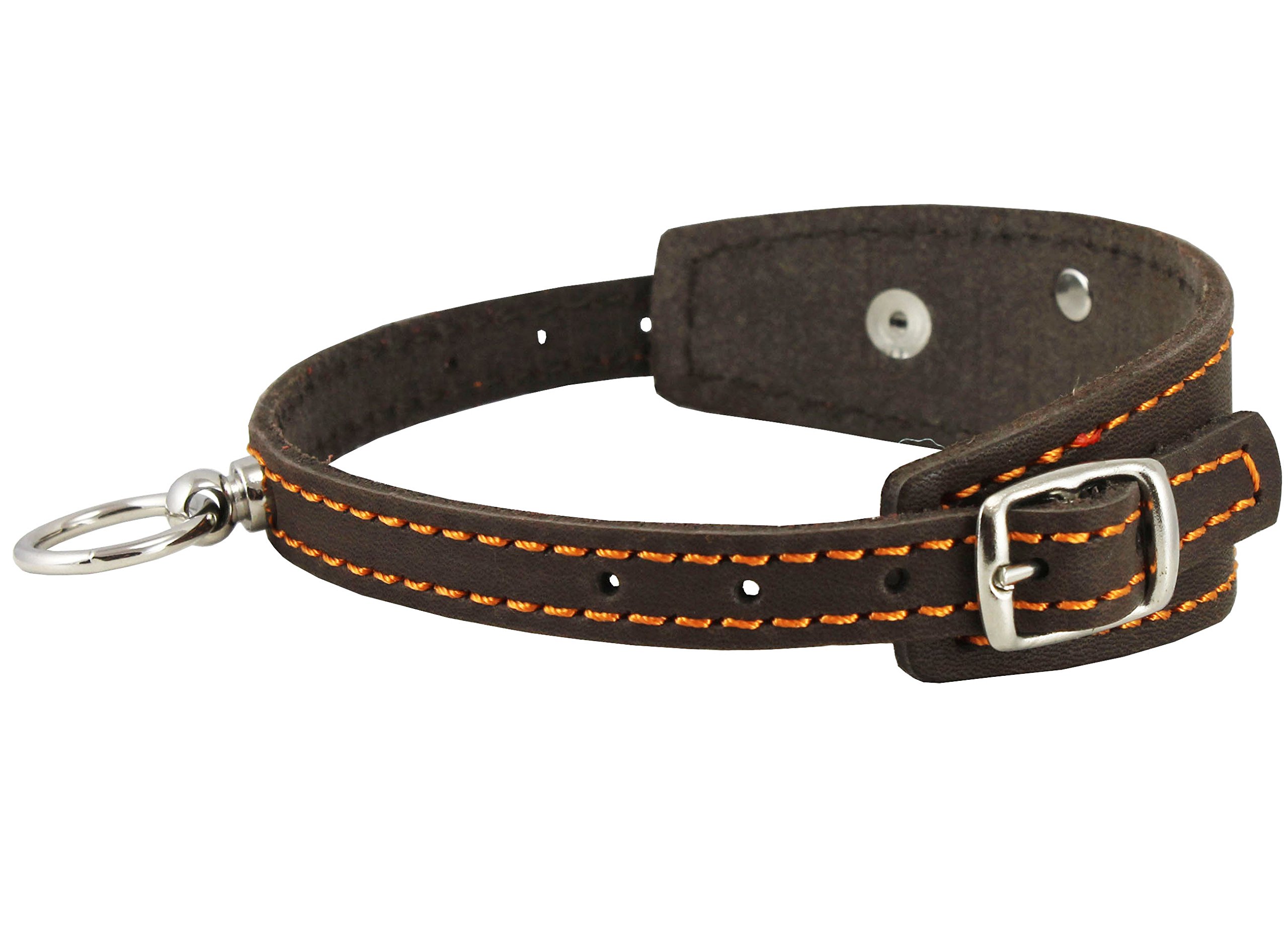 Dogs My Love Hundehalsband Aus Echtem Leder – Mit Jagdmuster, Schwarz, In 3 Größen (26,7-35,6 Cm Halsumfang)