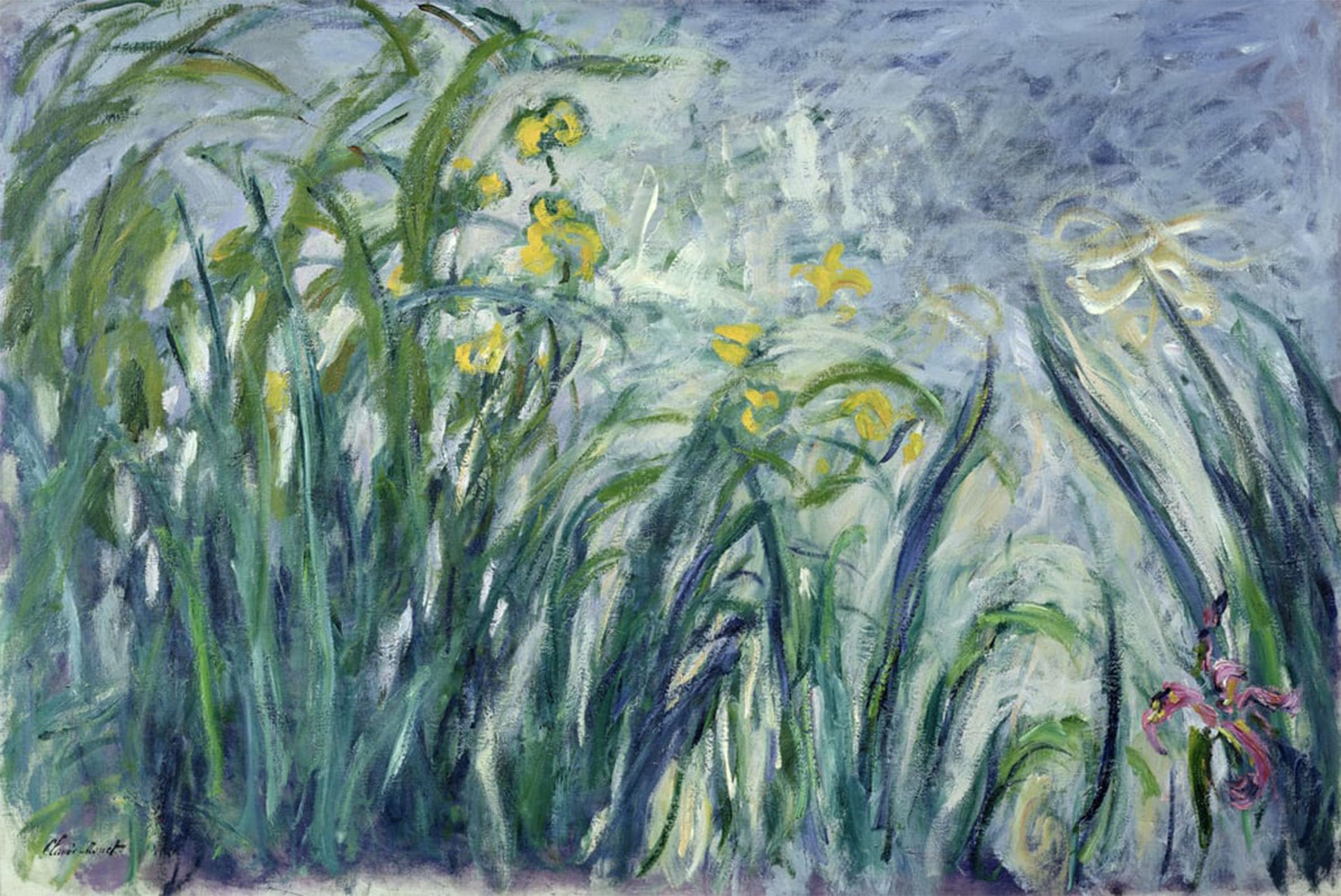 Affiche Toile Iris Monet 60x90cm pour une décoration murale élégante