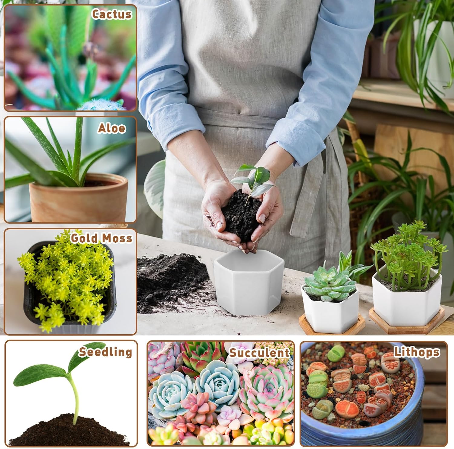 Meanplan 12 Pack Small Succulent Plant Pots Bulk White Ceramic Plant Pots with Bamboo Saucers Hexagon Pot with Drainage Holes for Indoor Outdoor(4", 3")