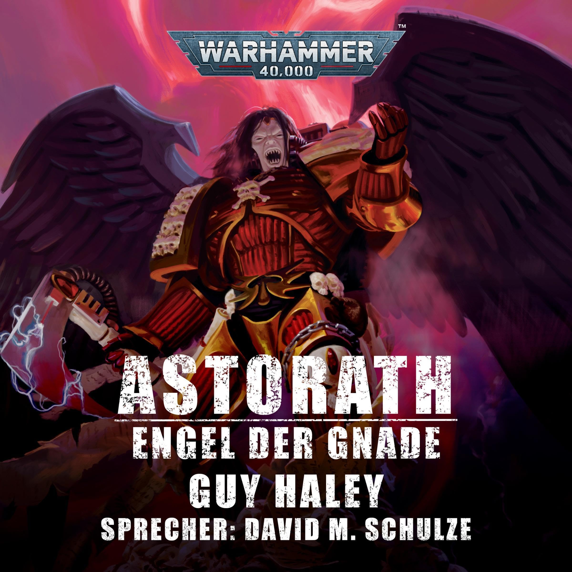 Cover art for Engel der Gnade