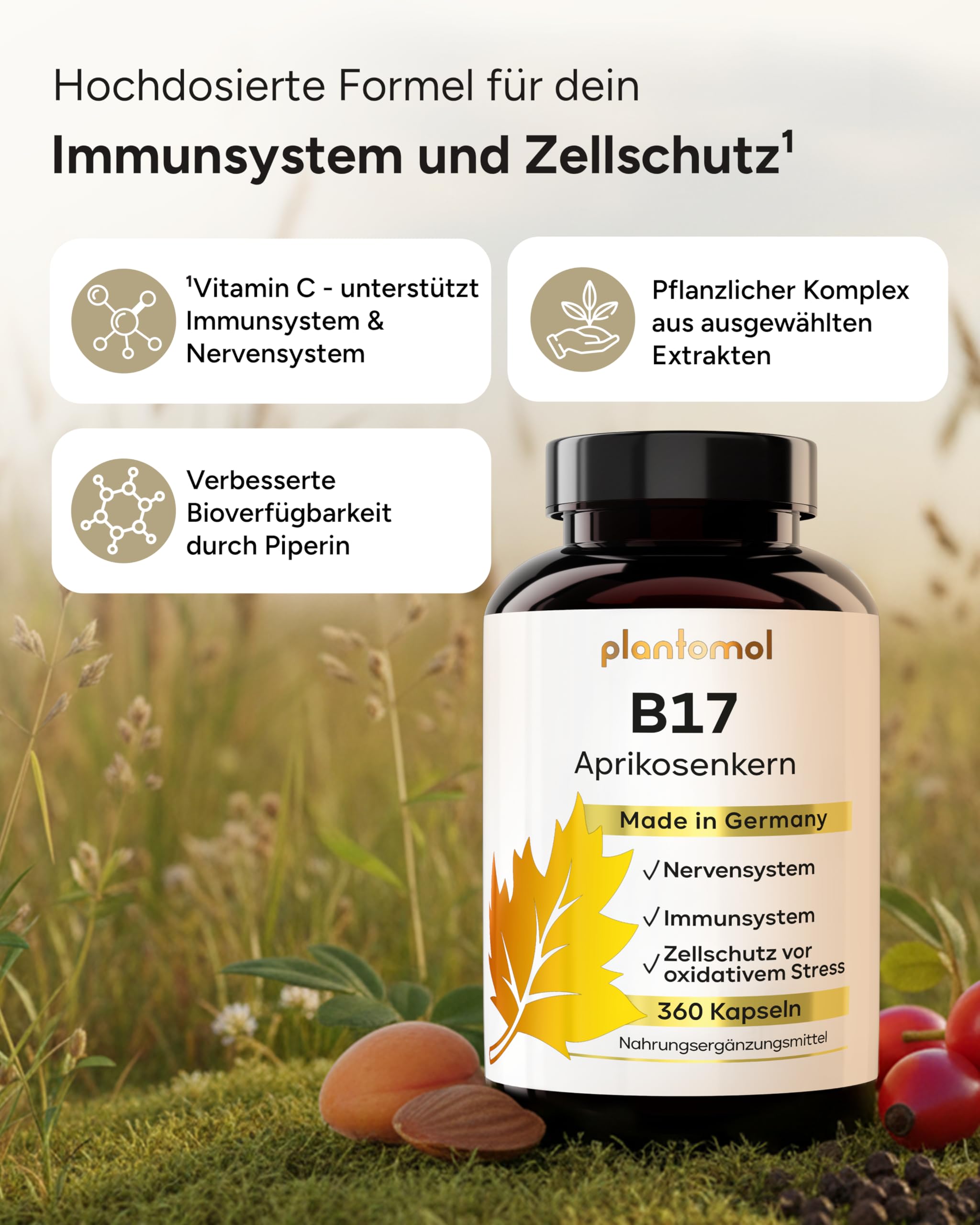 360 Aprikosenkerne Kapseln mit 1100mg Aprikosenkern-Extrakt pro Tag (2 Kapseln) - enthält natürlicherweise unstandardisiertes Vitamin B17 + pflanzliches Vitamin C aus Hagebutte - 6 Monatsvorrat