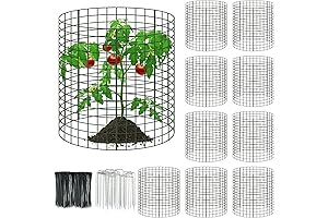 10 Packs 12" x 12" Wire Plant Protectors, Protect Your Plants with...