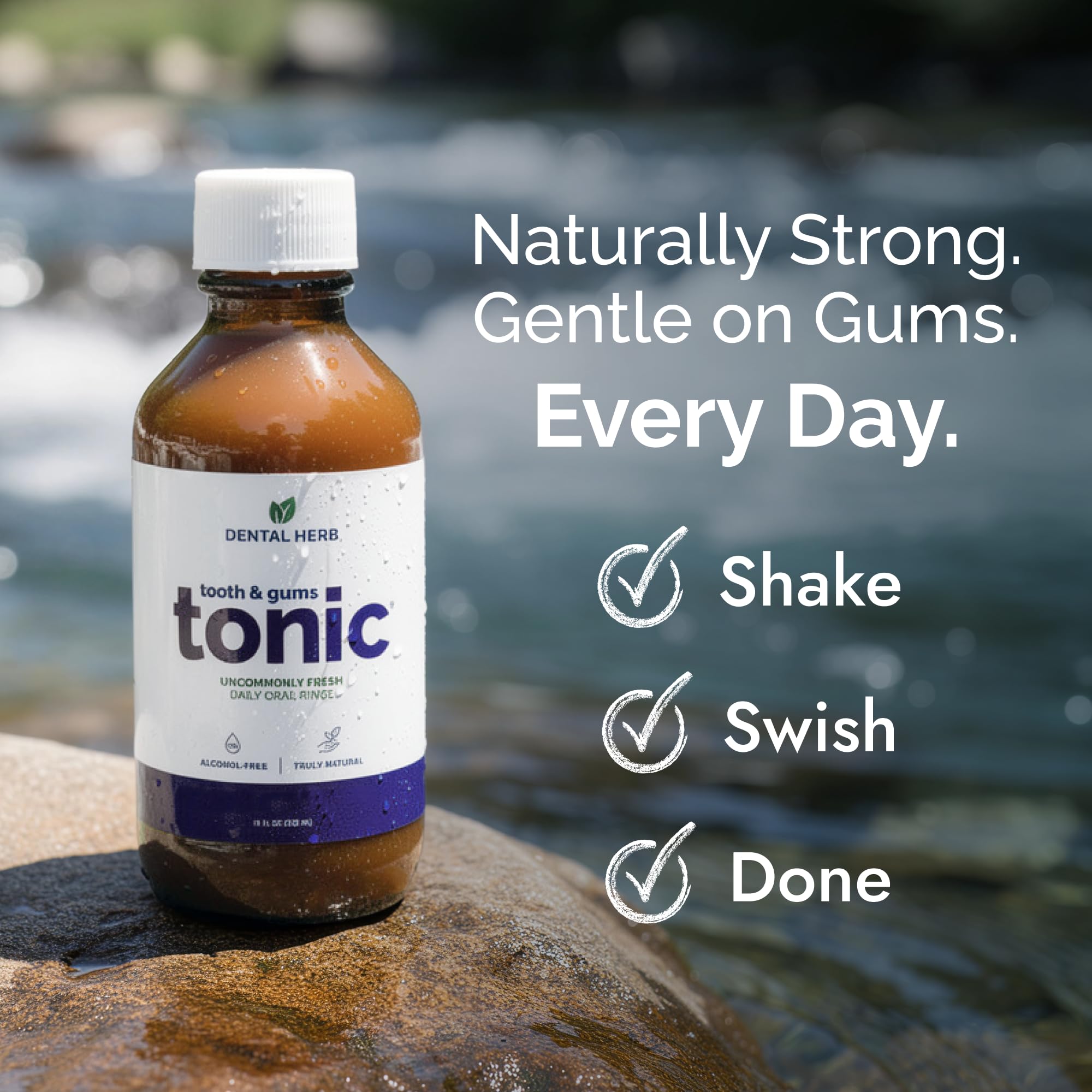 Dental Herb Company Tooth and Gums Tonic - Value Pack 2 Bottles by Dental Herb Company