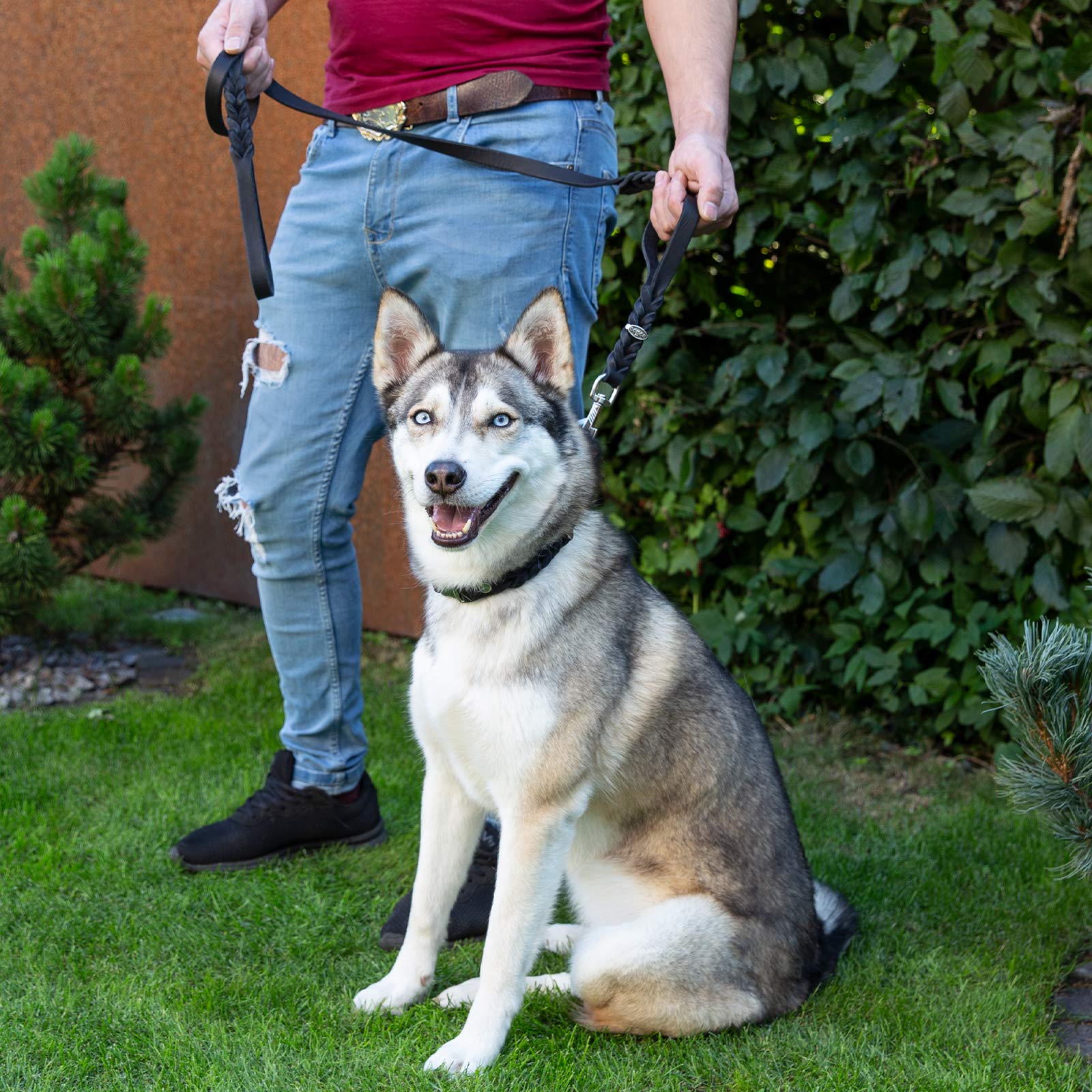Correa de piel para perros, Correas Perros con 2 asas y ganchos de acero inoxidable.