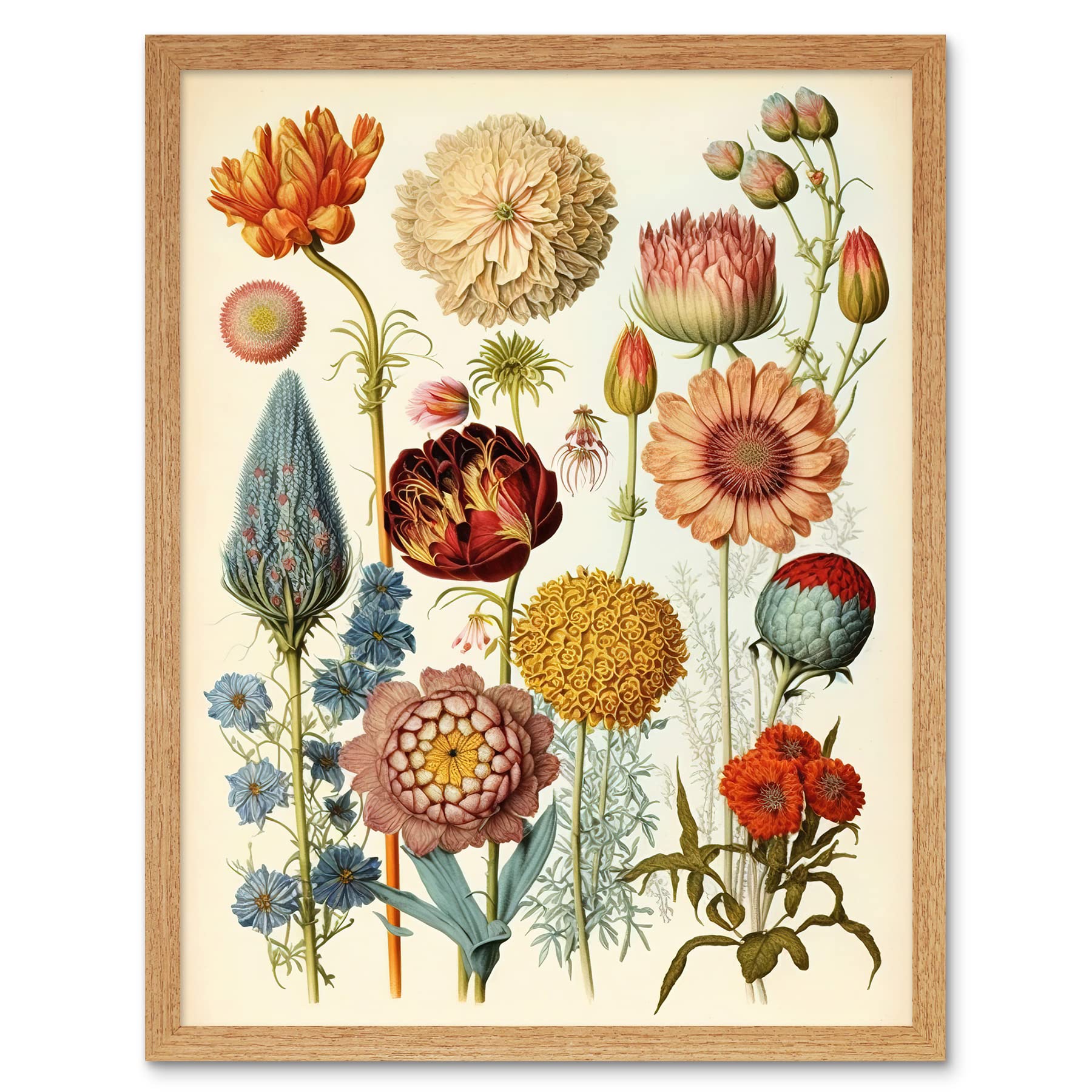 Artery8 Framed Light Oak 12X16 Vintage Botanical Illustration Ernst Haeckel Style Plant Study Modern Watercolour Painting Art Print Framed Poster Wall Decor 12X16 Inch