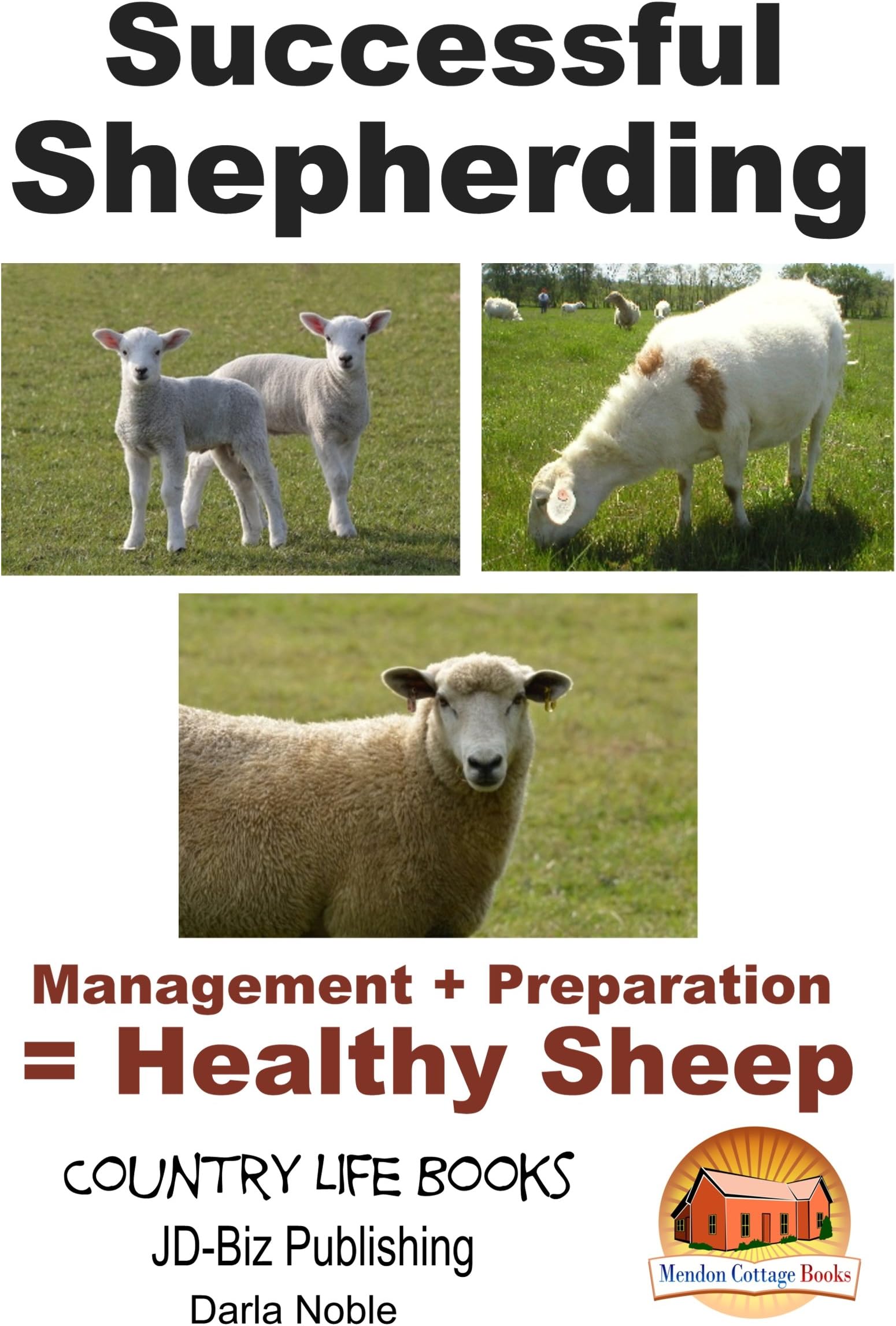 Successful Shepherding - Management + Preparation = Healthy Sheep