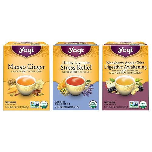 Yogi Paquete variado de té helado – 16 bolsas por paquete (3 paquetes) – Muestra orgánica – Incluye jengibre de mango, sidra de manzana y mora