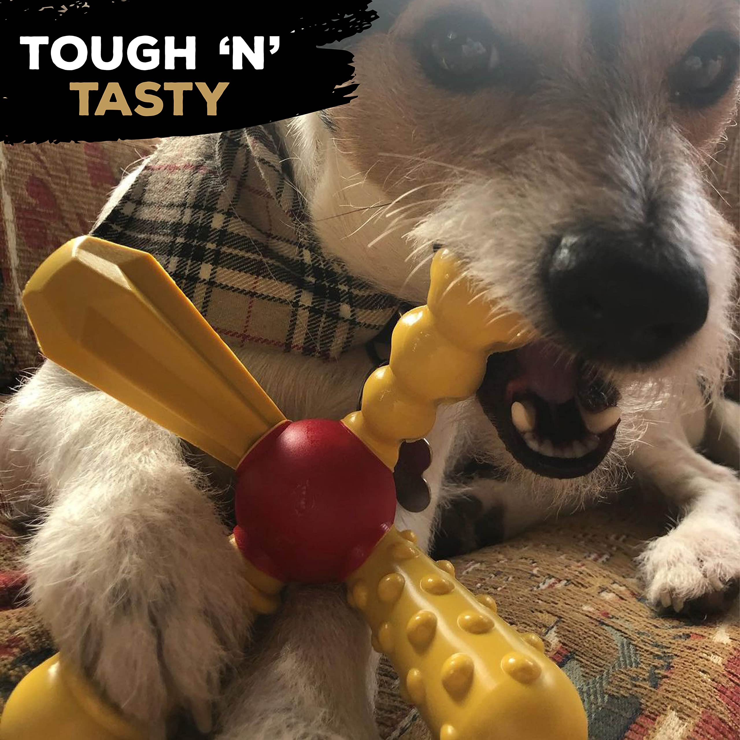 TastyBone QuattroBone Nylon Dog Chew Toy for Small Dogs (Chorizo), Indestructible for Aggressive Chewers Everlasting Flavour - Image 2