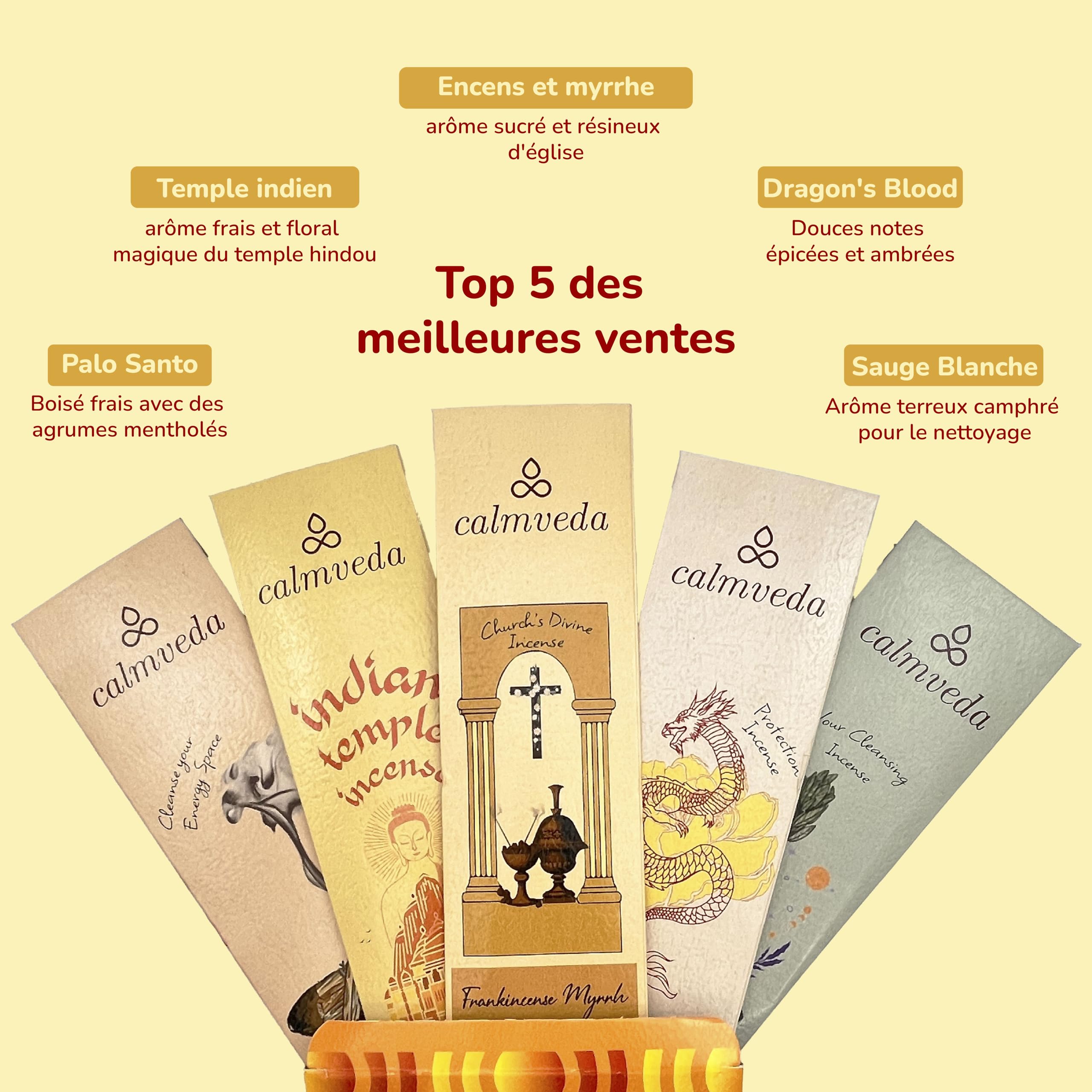 Baton Encens Naturel Pack Variété 90g sans Charbon Fabriqué à partir de Fleurs Recyclées Frankinscène Myrrhe Sauge Blanche Palo Santo Sang de Dragon