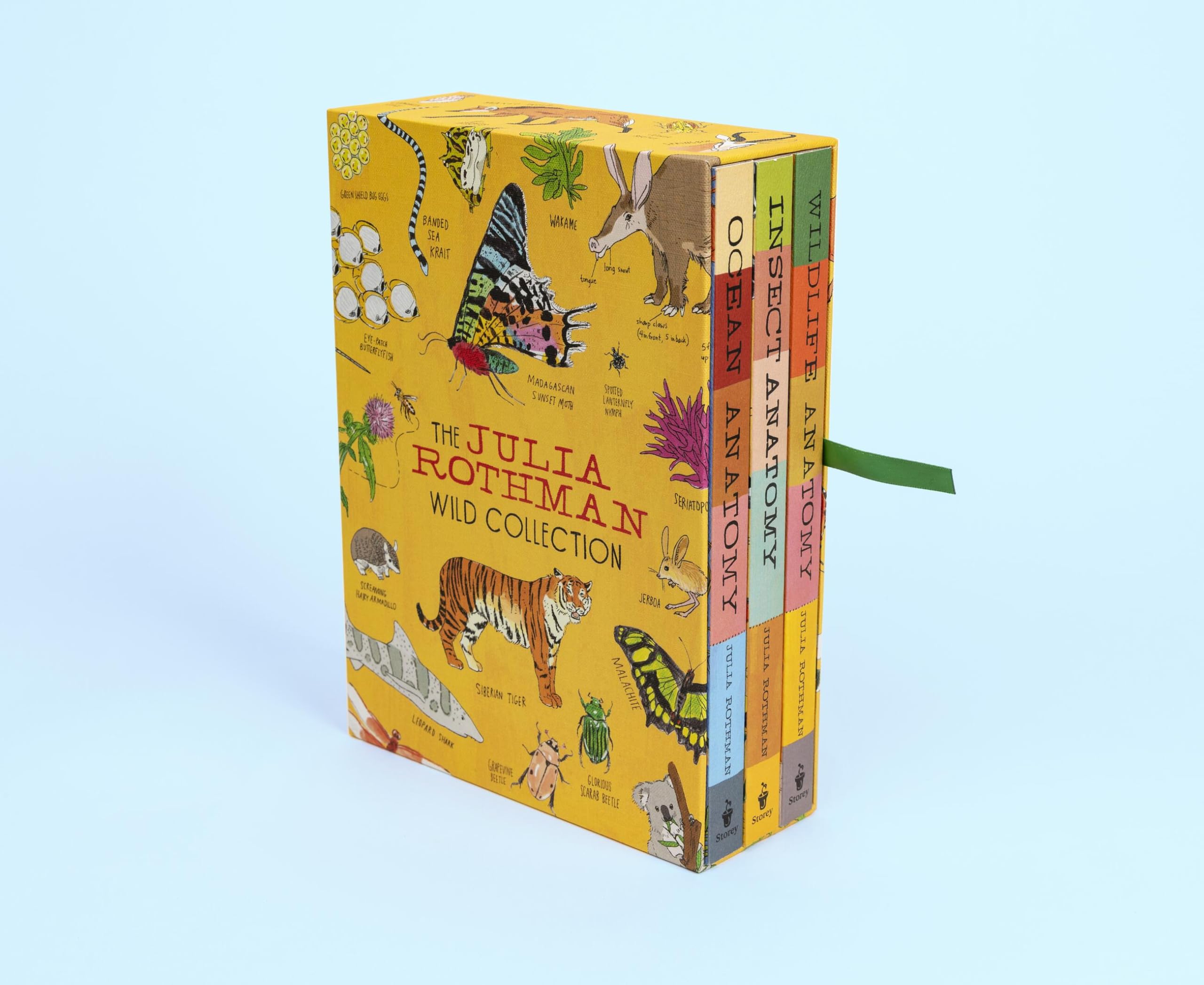 The Julia Rothman Wild Collection: Ocean Anatomy, Wildlife Anatomy, Insect Anatomy