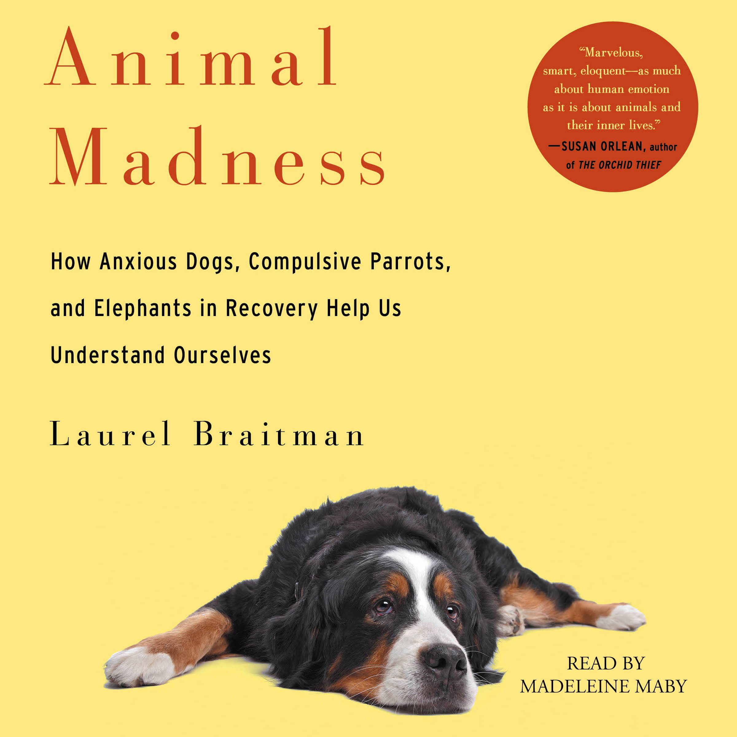 Cover art for Animal Madness