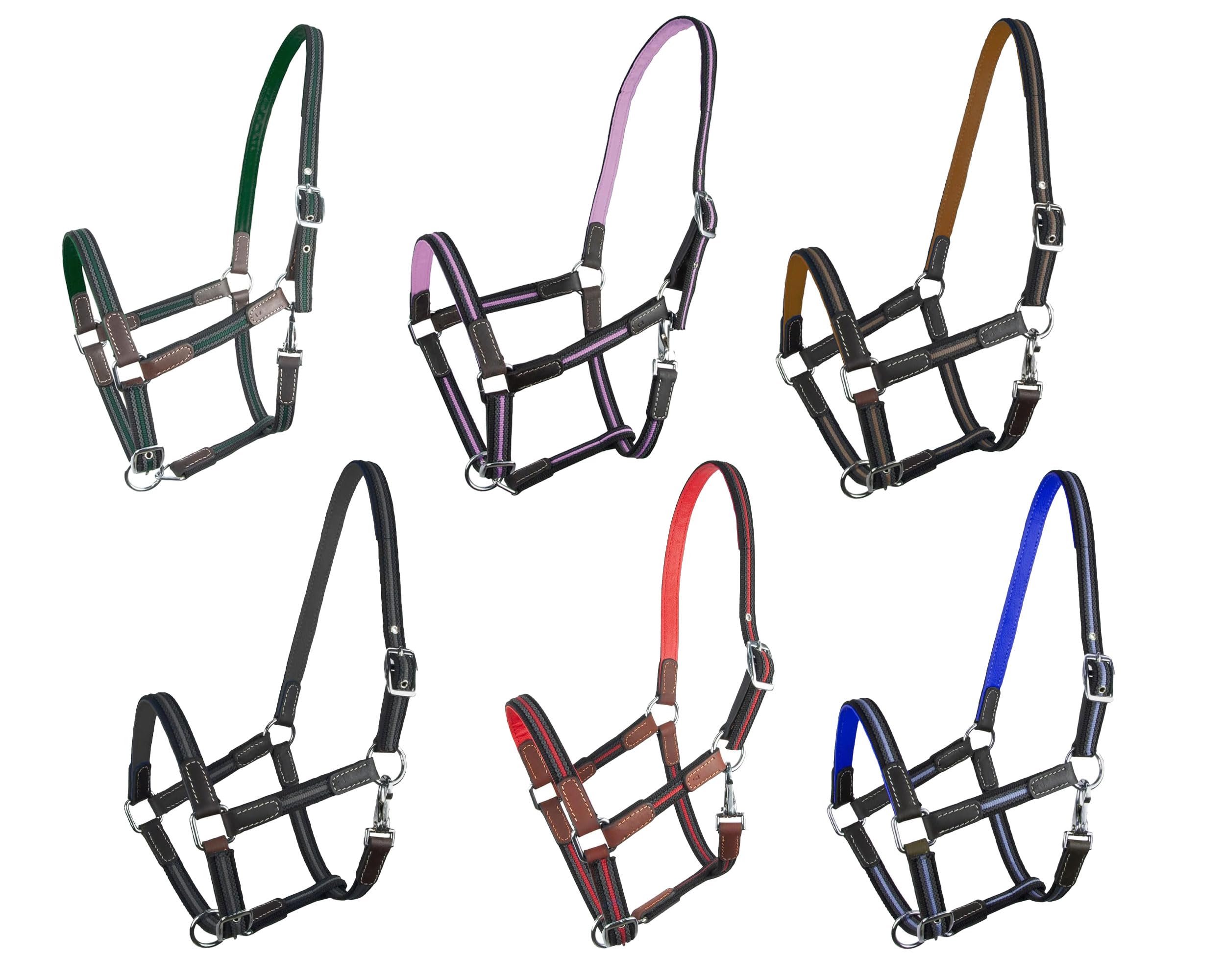 Brama West Cabestro caballo Ruby | 2 posiciones ajustables con inserciones de cuero | cabestro de pasto | en colores sorpresa, tamaño y cantidad a elegir (completo, 5 unidades)