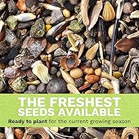 Vista 5 de Red Clover - Paquete grande de 1 onza - 15,000 semillas de flores para plantar - Trifolium pratense