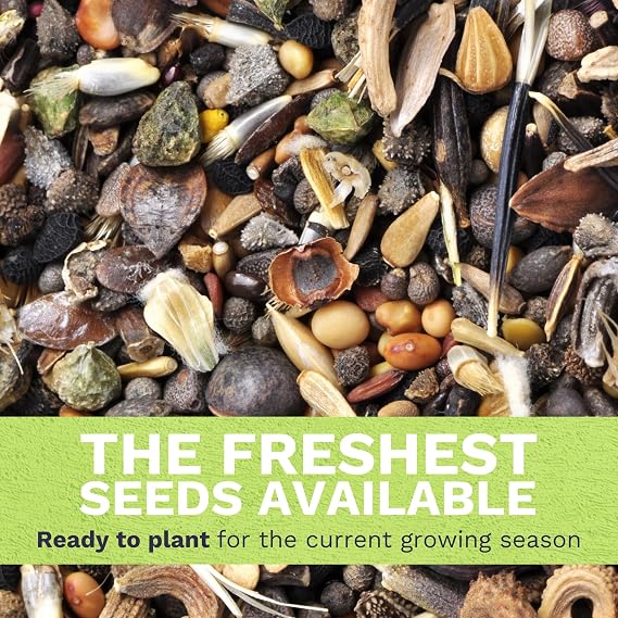 Monarch Butterfly Rescue Mix - Large 1 Ounce Packet - 11,000 Flower Seeds for Planting - Wildflower Mix