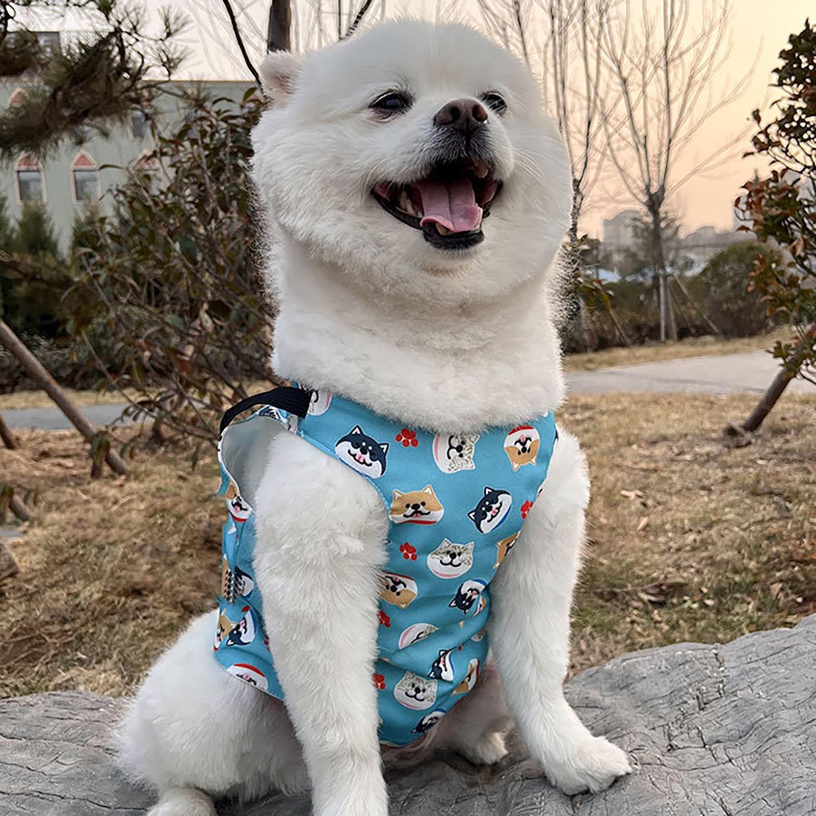 Kühlendes Bandana für Hunde, Coole Welpenkleidung, Wärmeentlastung, Welpenweste für Outdoor-Spaziergänge, kühlendes Kätzchen-Bandana