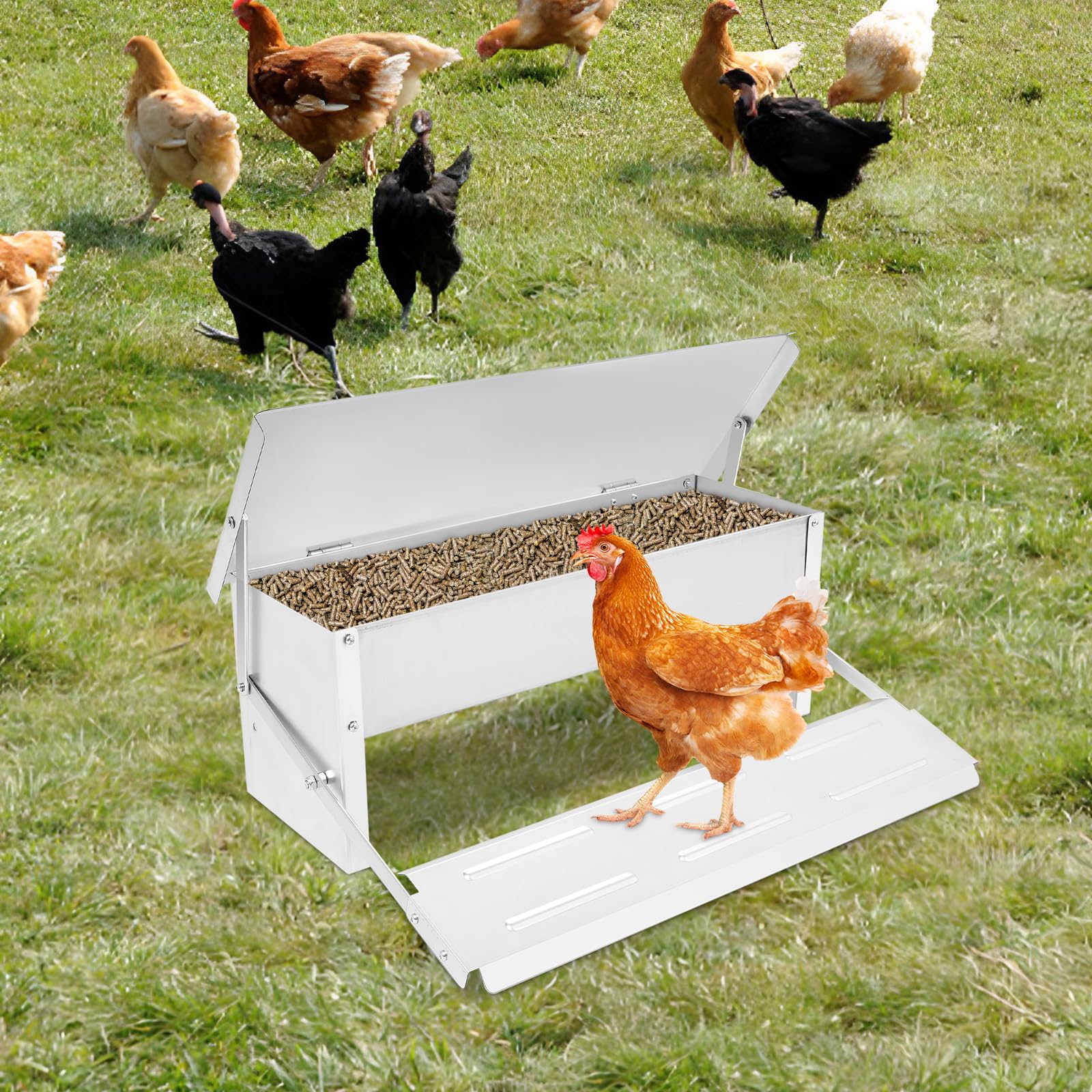 Comedero automático para gallinas, comedero automático para aves de corral de acero galvanizado, adecuado para la cría de pollos, gallinas y otras aves de corral