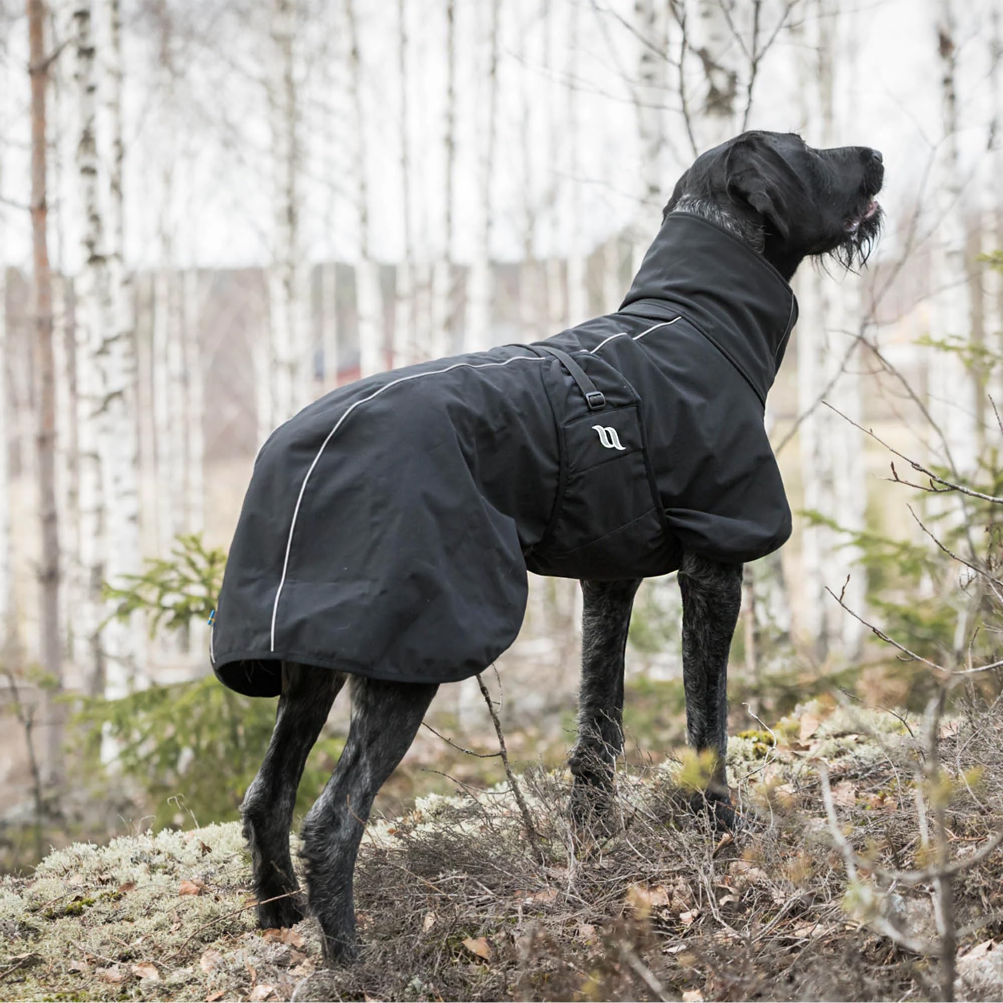 kleines hundespielzeug BUDDY. Hundespielzeug aus Leder "kleines Krokodil"  BUDDY. Hundezubehr