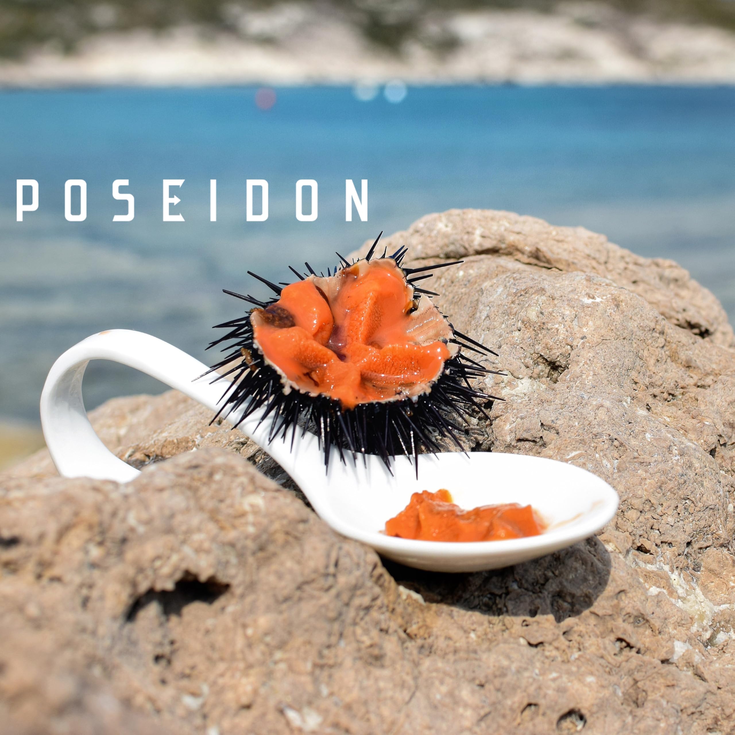 Poseidon Polpa di riccio di mare - 70 gm - Polpa UNI