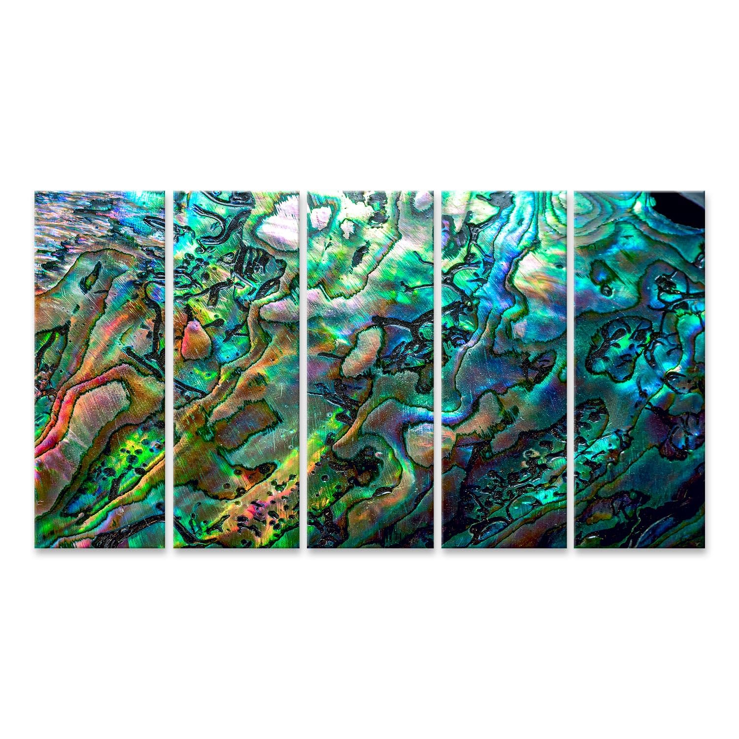 islandburner Bild auf Leinwand Faszinierendes Abalone-Muster Wandbild Wohnzimmer Deko für Kunstliebhaber - 5-teilig XXL