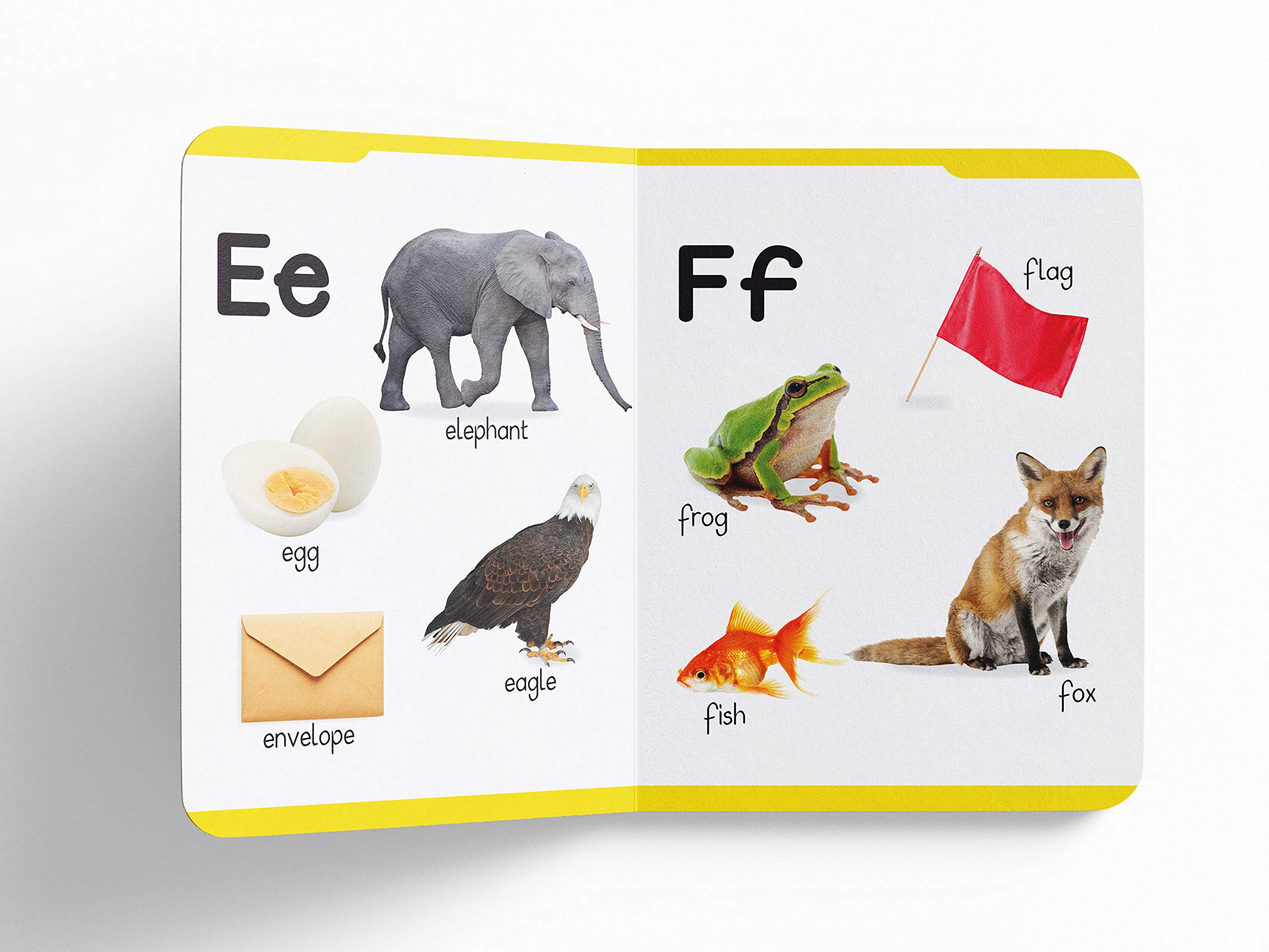 My First Padded Book of Alphabet: Early Learning Board Book for Kids | Learn ABC with Bright and Colorful Pictures | Durable Padded Board Book for Babies, Toddlers & Preschoolers | Ages 0β5 Years 2