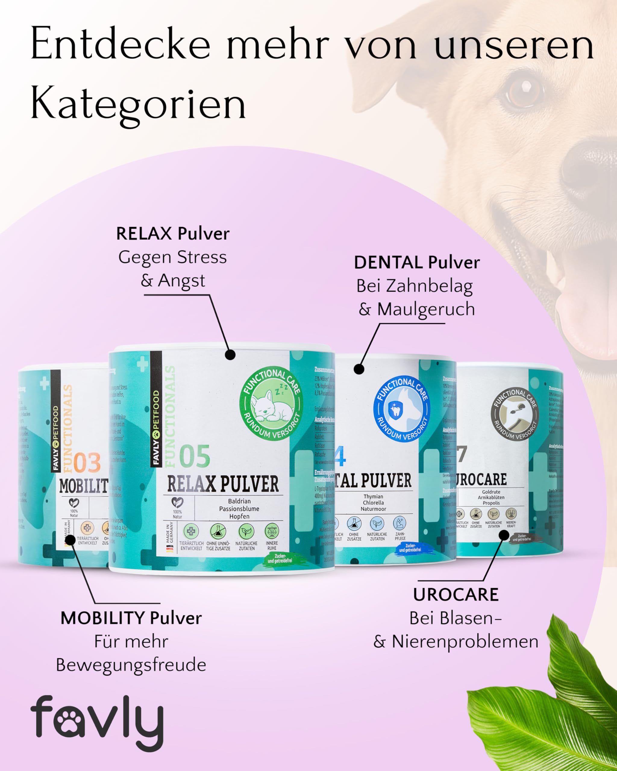 FAVLY – FloraVITAL Darmflora Pulver 2x250g für Hunde & Katzen – Topping zur Unterstützung von Darm, Verdauung & Immunsystem – mit Inulin, Flohsamenschalen & Beta-Glucanen – Ohne Getreide & Zusätze