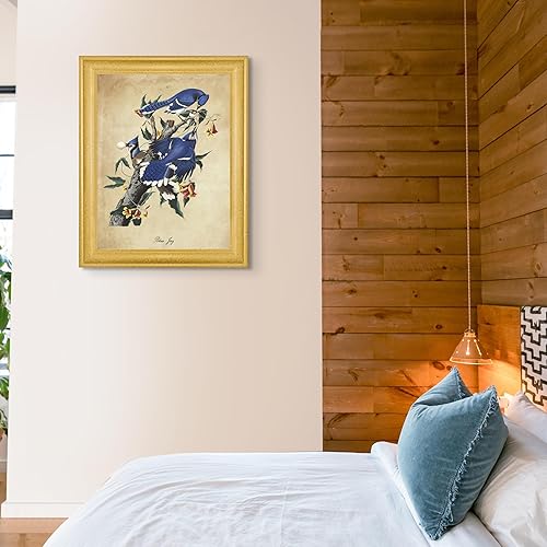 Vista 147 de Towee Bunting by James Audubon - Marco biselado negro de 12 x 16 pulgadas, decoración artística enmarcada para pared, reproducción de pinturas