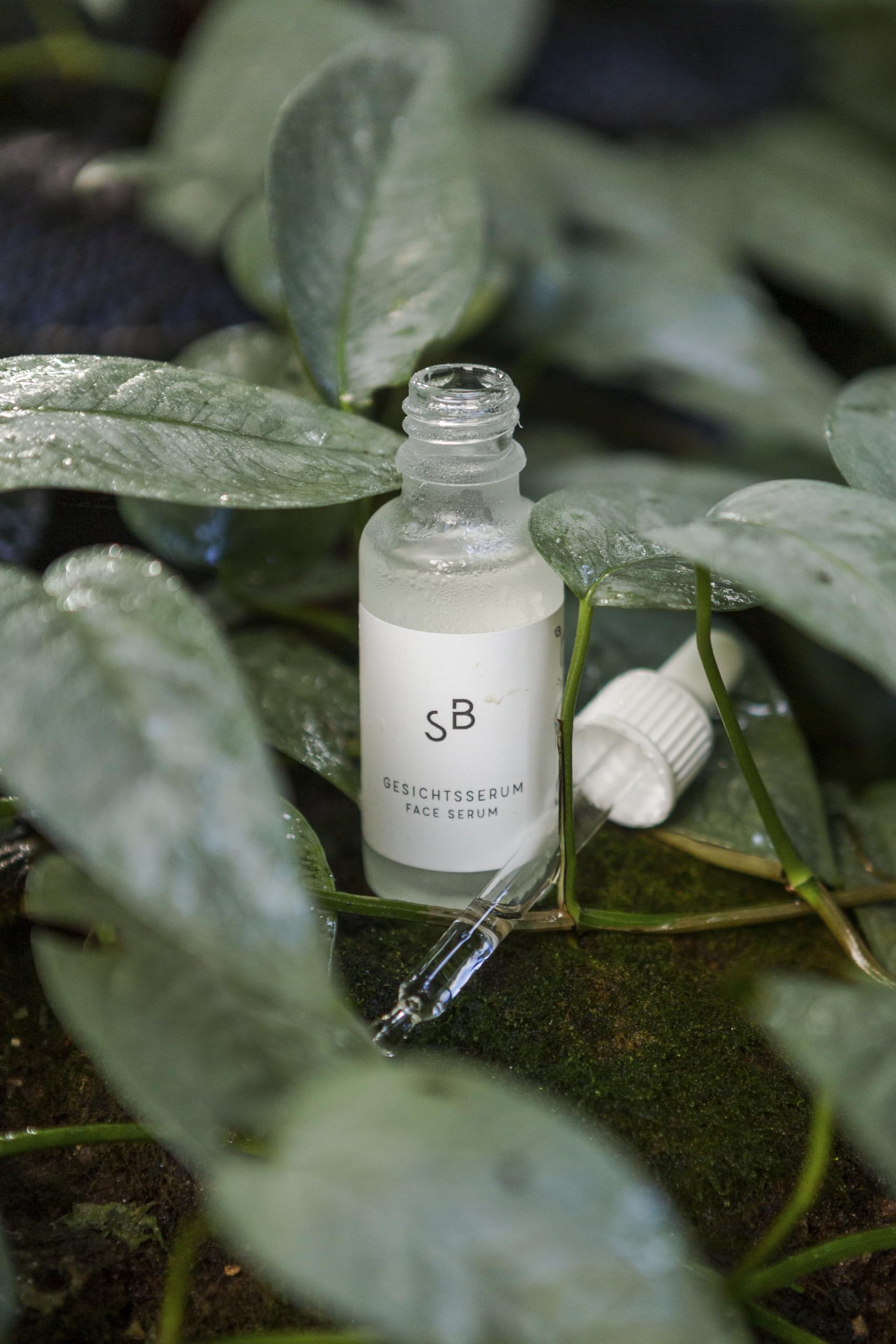 Studio Botanic Gesichtsserum 30 ml – regenerirende Gesichtspflege mit Ginseng Peptid & Resveratrol Ferment als Alternative zu Retinol & Retinal – Hyaluronsäure & Bio Gurkenextrakt – Naturkosmetik