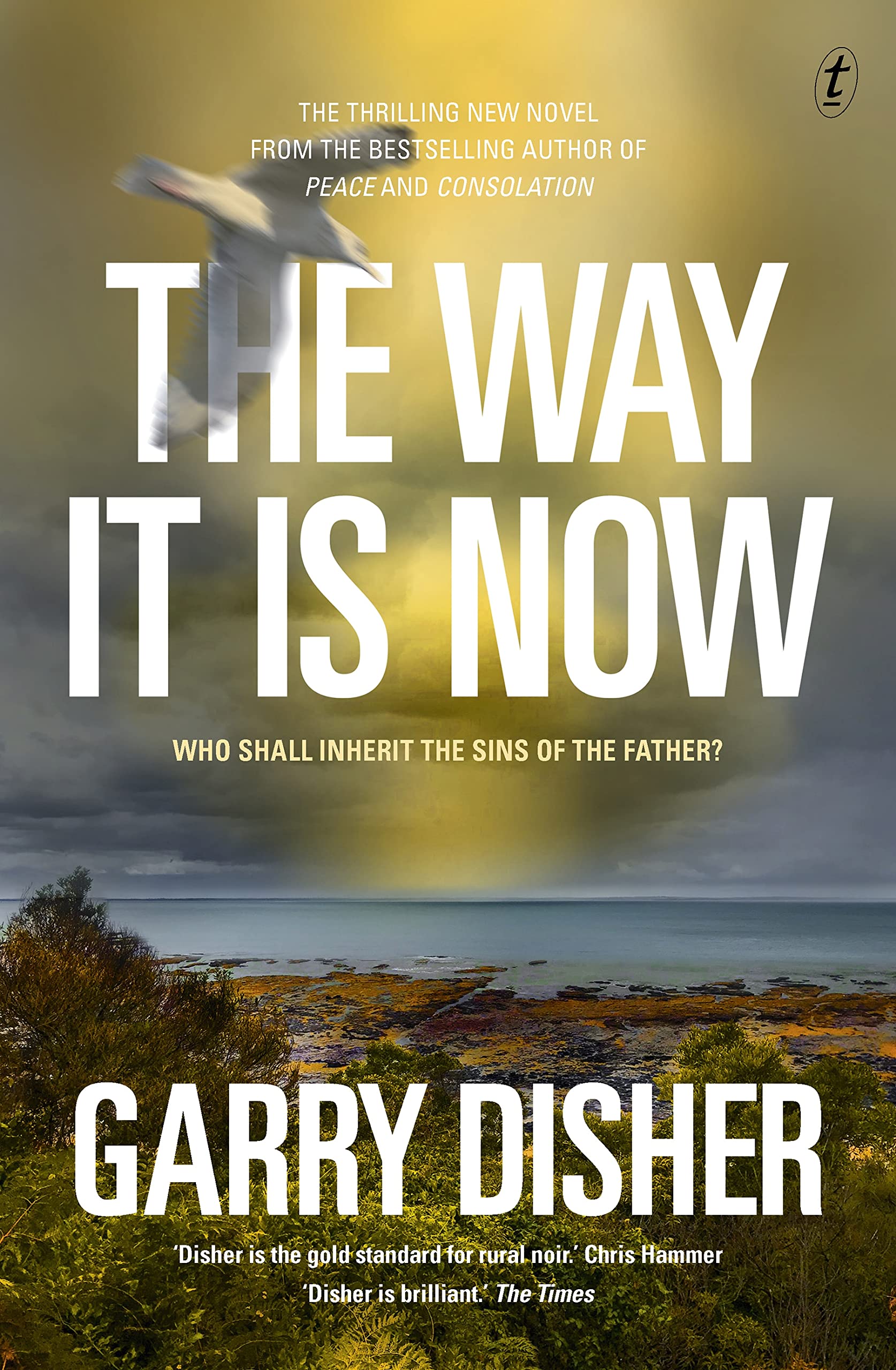 Buy The Way It Is Now — BookShops.in