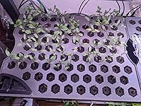 Review Image by Jessi D Jessi D