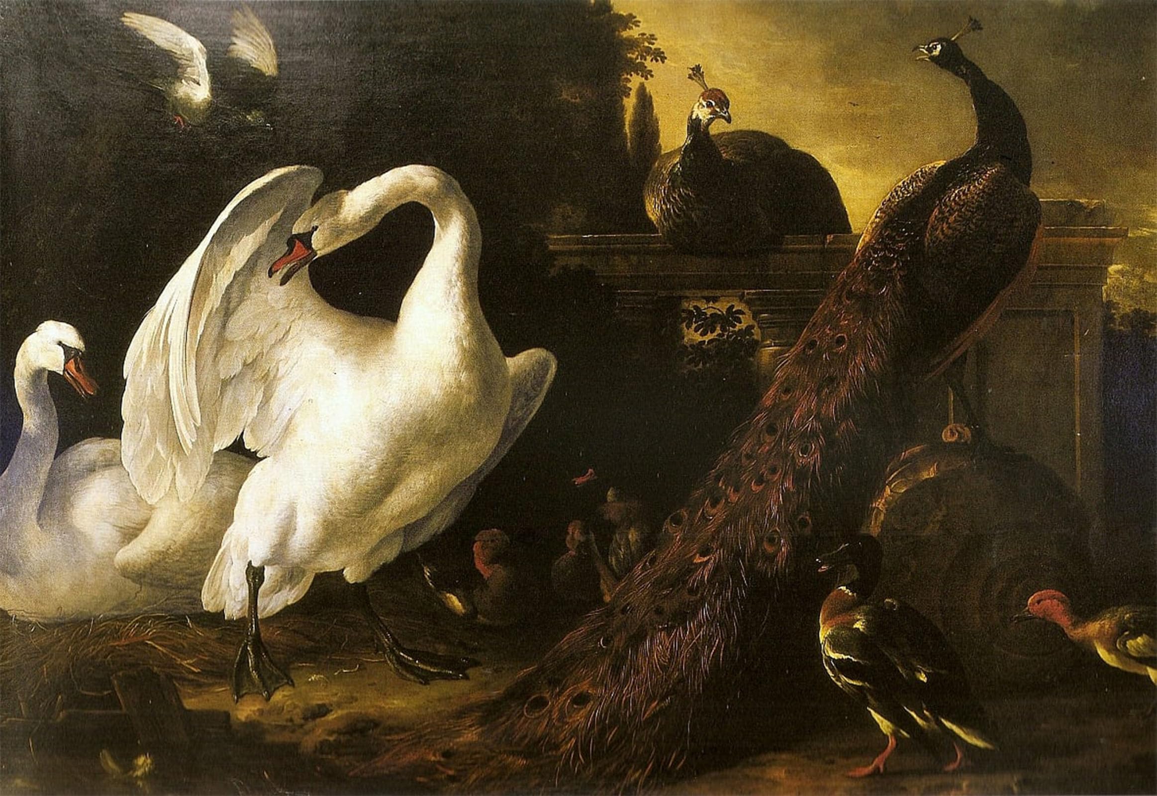SERENDIPITP Aesthetic Poster Photo Wall Print Retro Picture Swans and Peacocks by Melchior De Hondecoeter Modern Wall Artwork for Home Decor 60x90cm