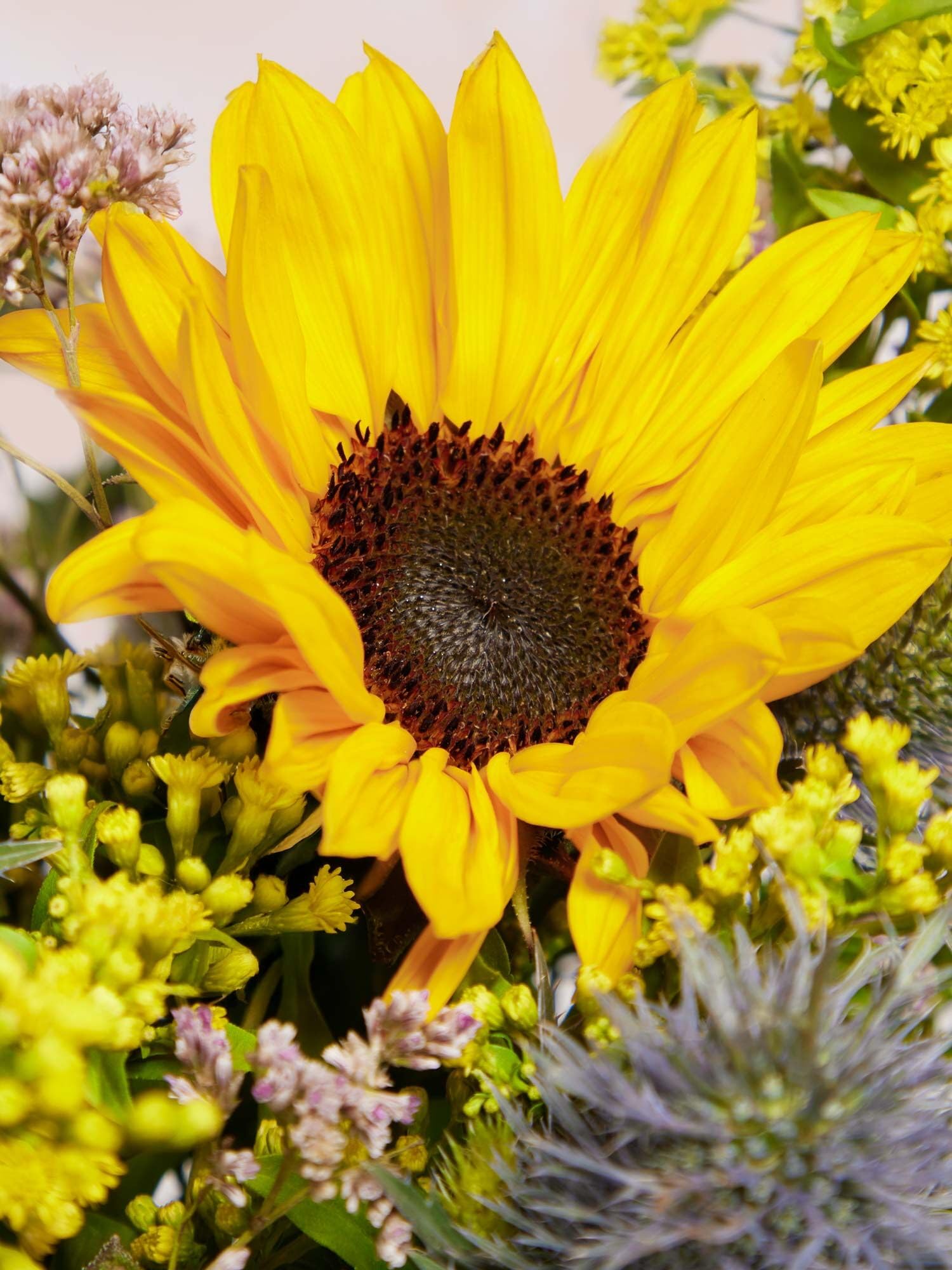 BLOOMY DAYS Blumenstrauß "Sonnengruß" in GelbViolett, mit Disteln, Limonium und Nelken, 7-Tage-Frischegarantie, Floristen-Qualität, das perfekte Geschenk bestellen