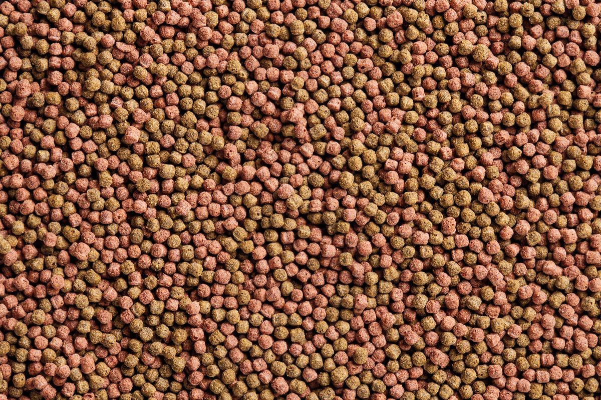 Dynamix Koi Pellet mały 4 l