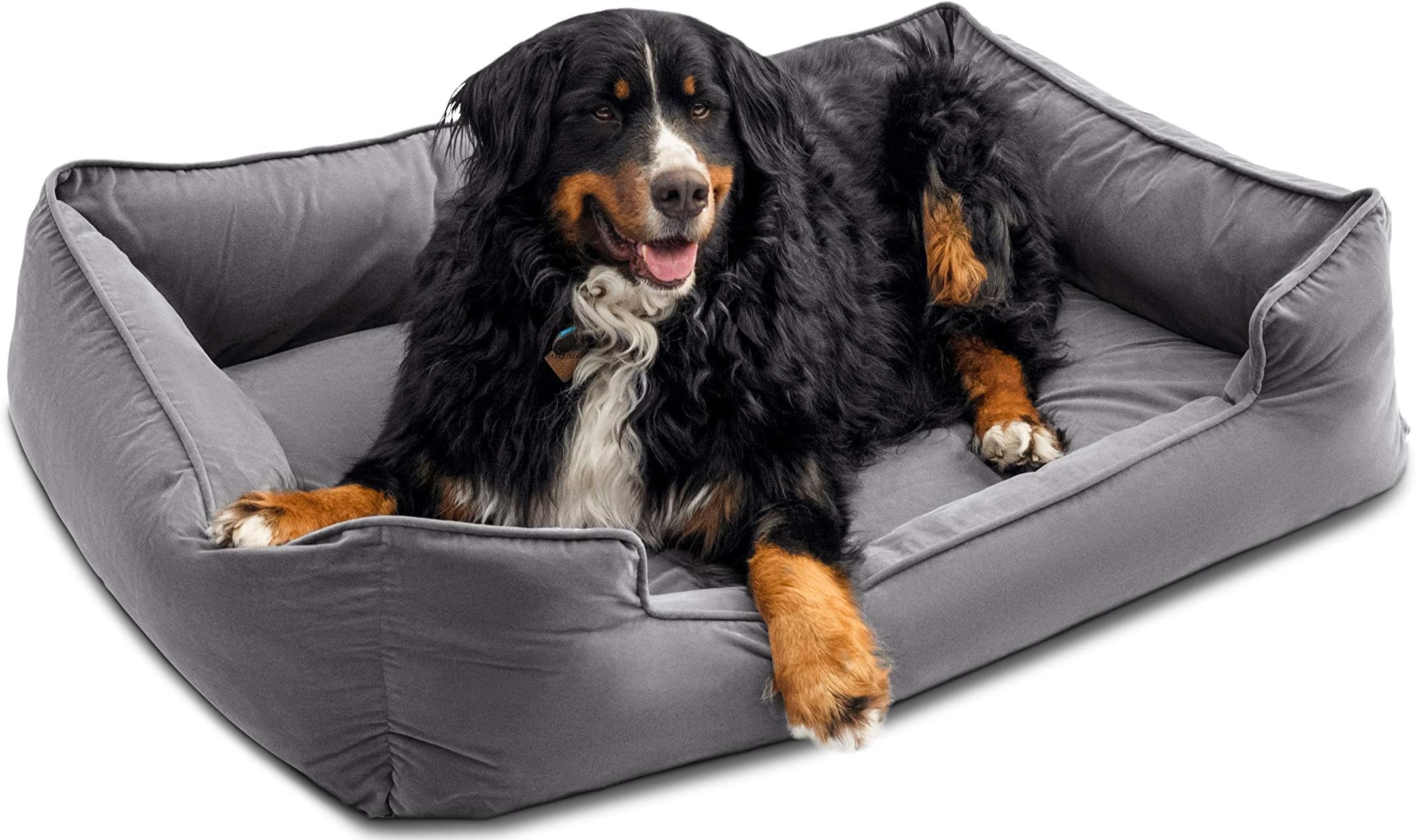 Premium Dog Bed with 4" Solid Memory Foam | Waterproof Liner | Cover Washable & Removable (X-Large 47 x 35.5 x 11.2 inch, Gray)