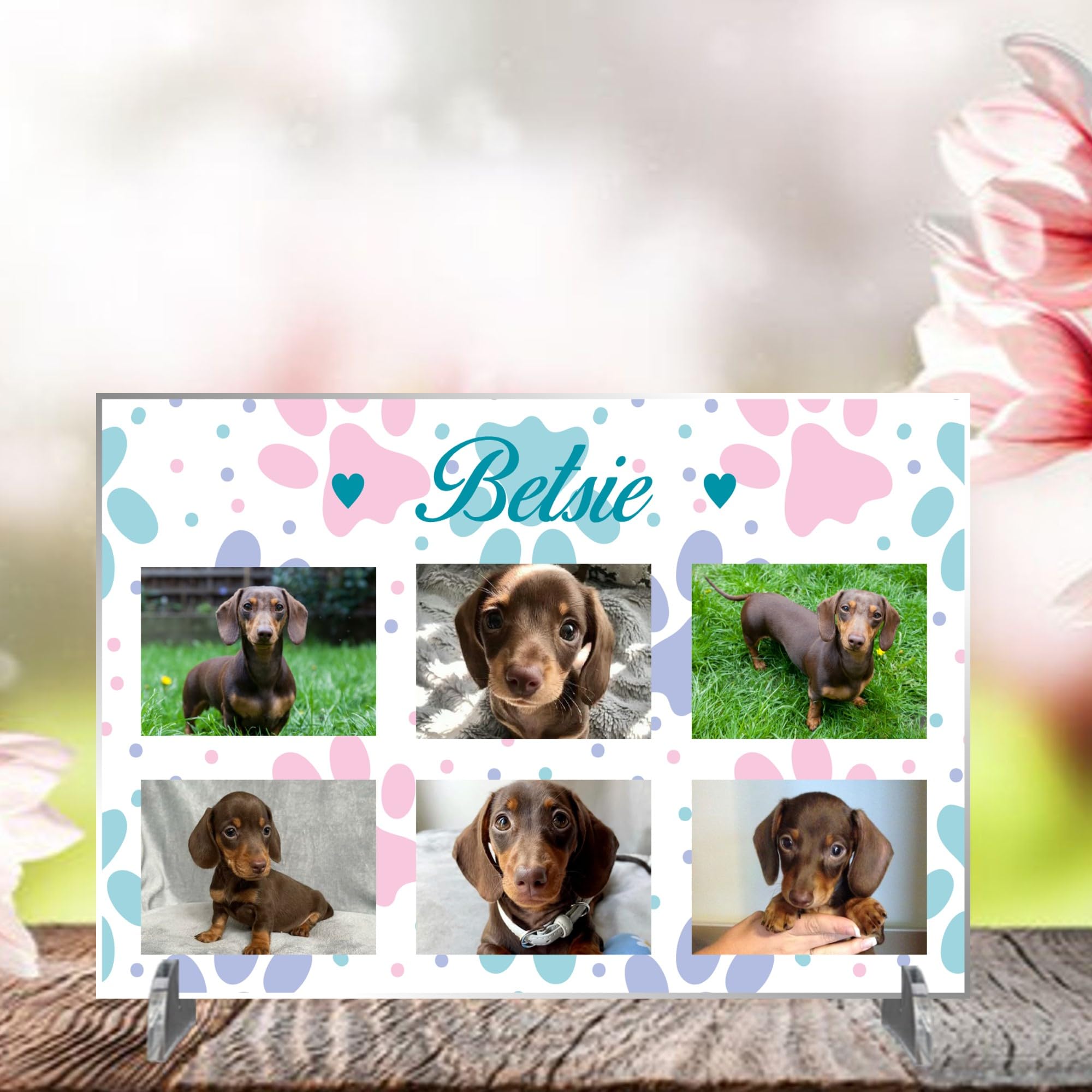 Pixie's Gifts Personalised Pet Photo Plaque on Stand - Custom Gift for Dogs or Cats - Available in 4 Designs, 3mm MDF and Acrylic (Pastel, Acrylic A4 30cm x 21cm)