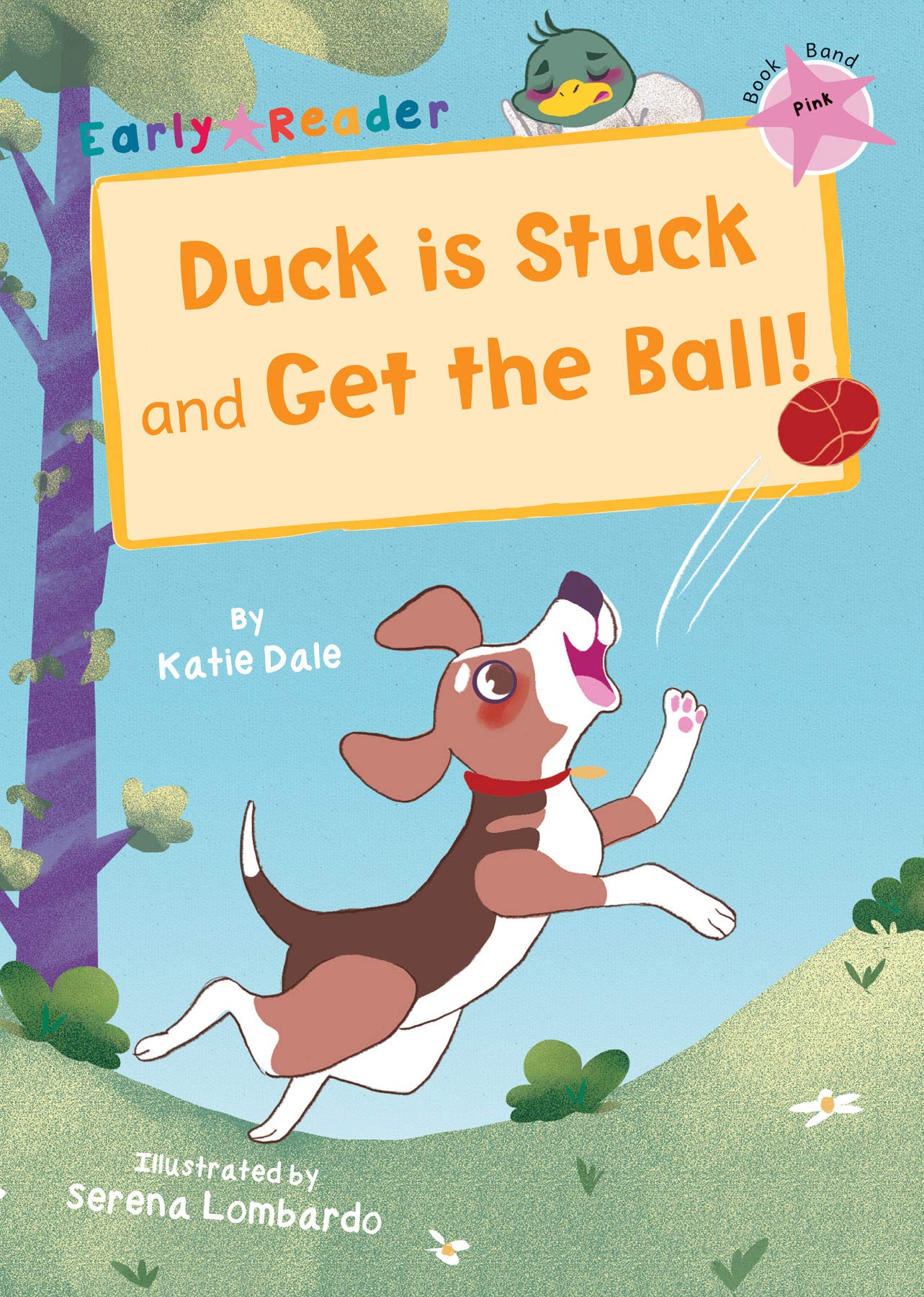 Duck is Stuck and Get The Ball!: (Pink Early Reader) (Maverick Early Readers)