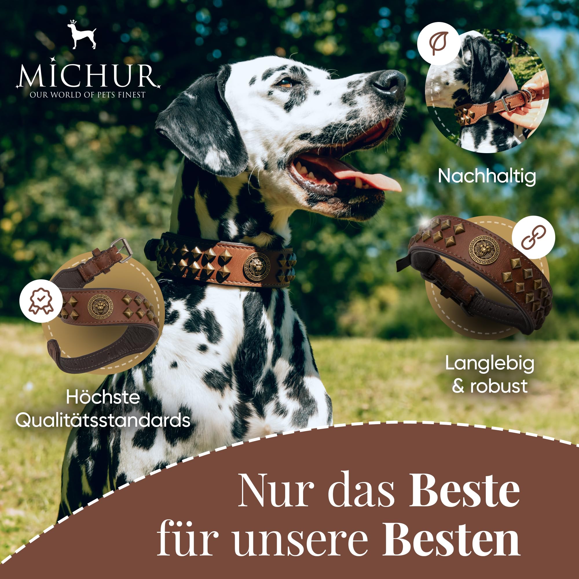 MICHUR Diego Marron Collier pour Chien Collier en Cuir Collier pour Chien Cuir avec Application tête de Lion Rivets Plats en Laiton Aklt Aspect Brun Or Disponible en différentes Tailles