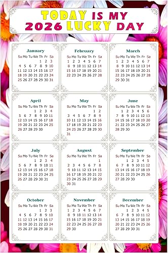 Calendario magnético 2024  Imanes del calendario  Today is my Lucky Day  Resistente a la decoloración, desgarros y agua  Temático 032 (7 x 10.5)