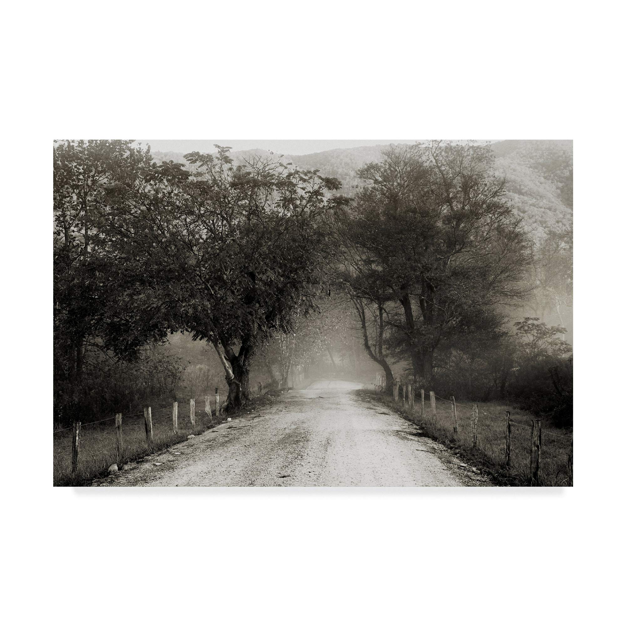 Trademark Fine Art Sparks Lane Path by Nicholas Bell Photography, 16x24-Inch