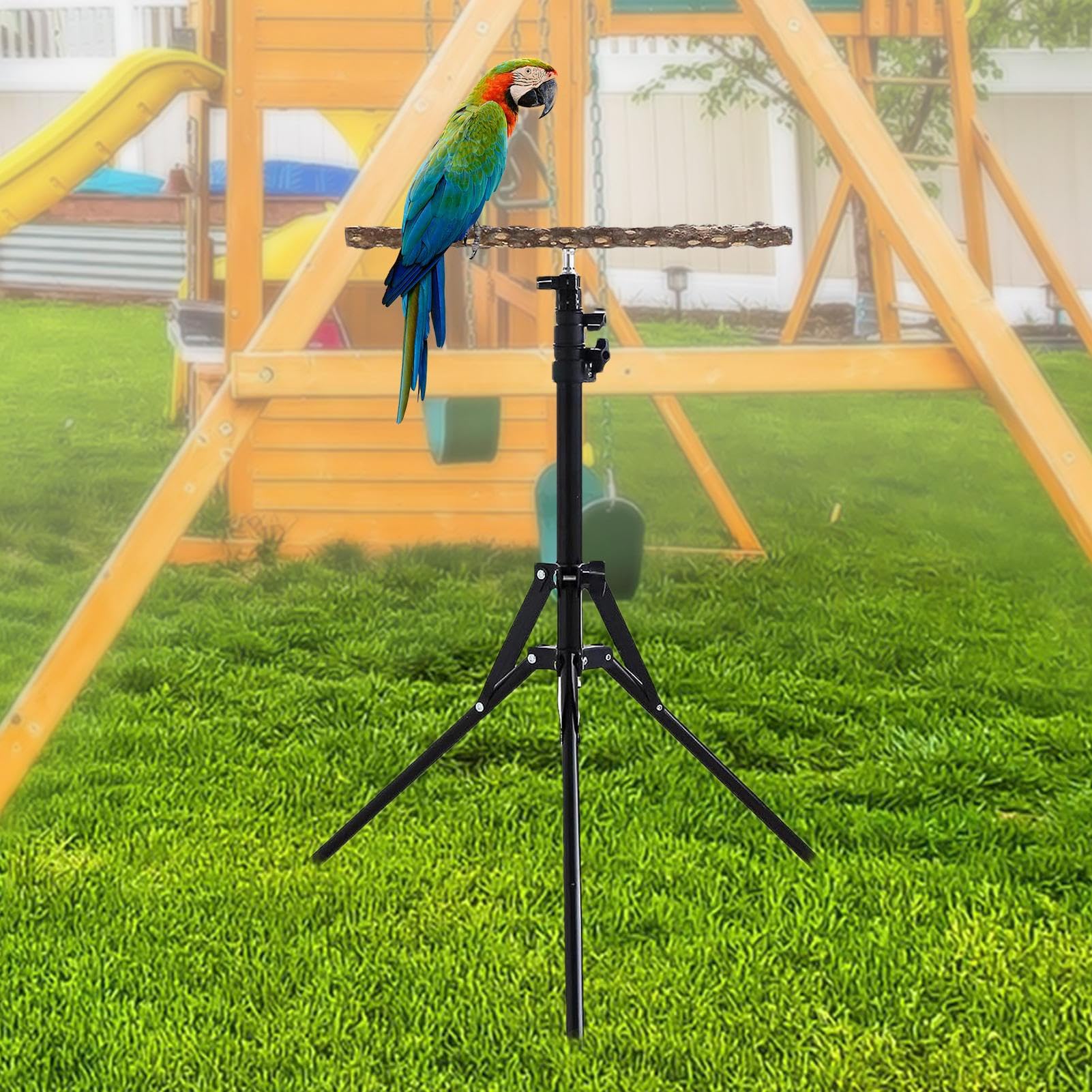 40 – 157 cm Soporte para loros para pájaros, percha de papagayos, altura ajustable, asiento de entrenamiento para pájaros para descansar y jugar