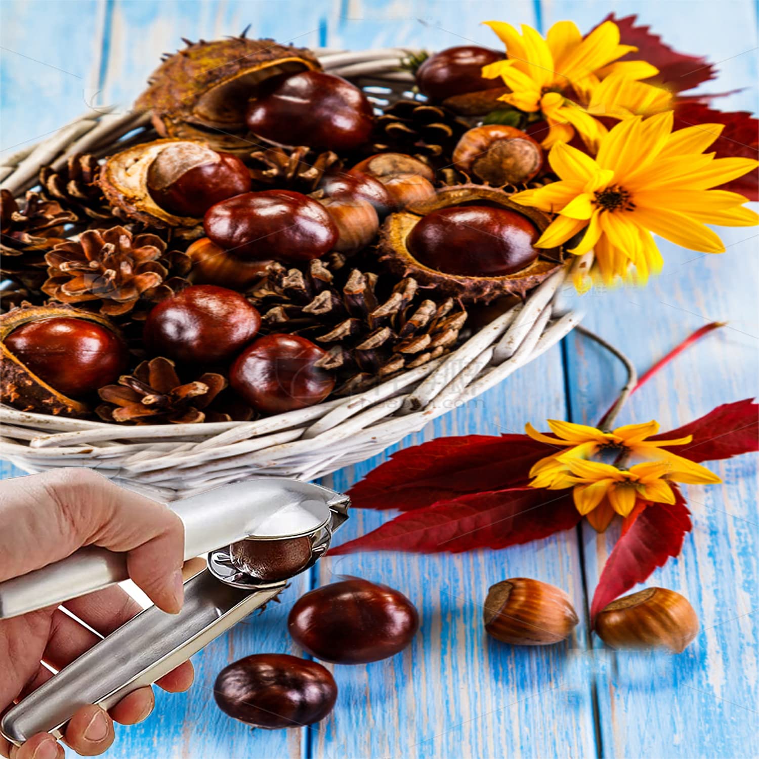 DONGSZQ Ouvre Chataigne, Inoxydable Pince à Châtaignes,Châtaigne Clip