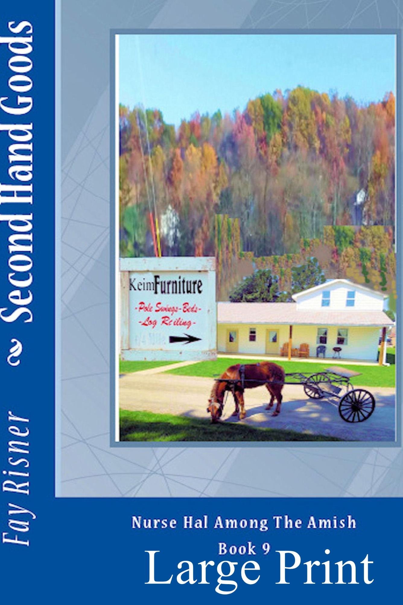 Second Hand Goods: Nurse Hal Among The Amish