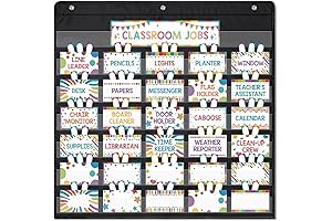 Ragnhild 96-Piece Groovy Classroom Jobs Pocket Chart Set