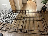 Review Image by Holly Q. Holly Q.