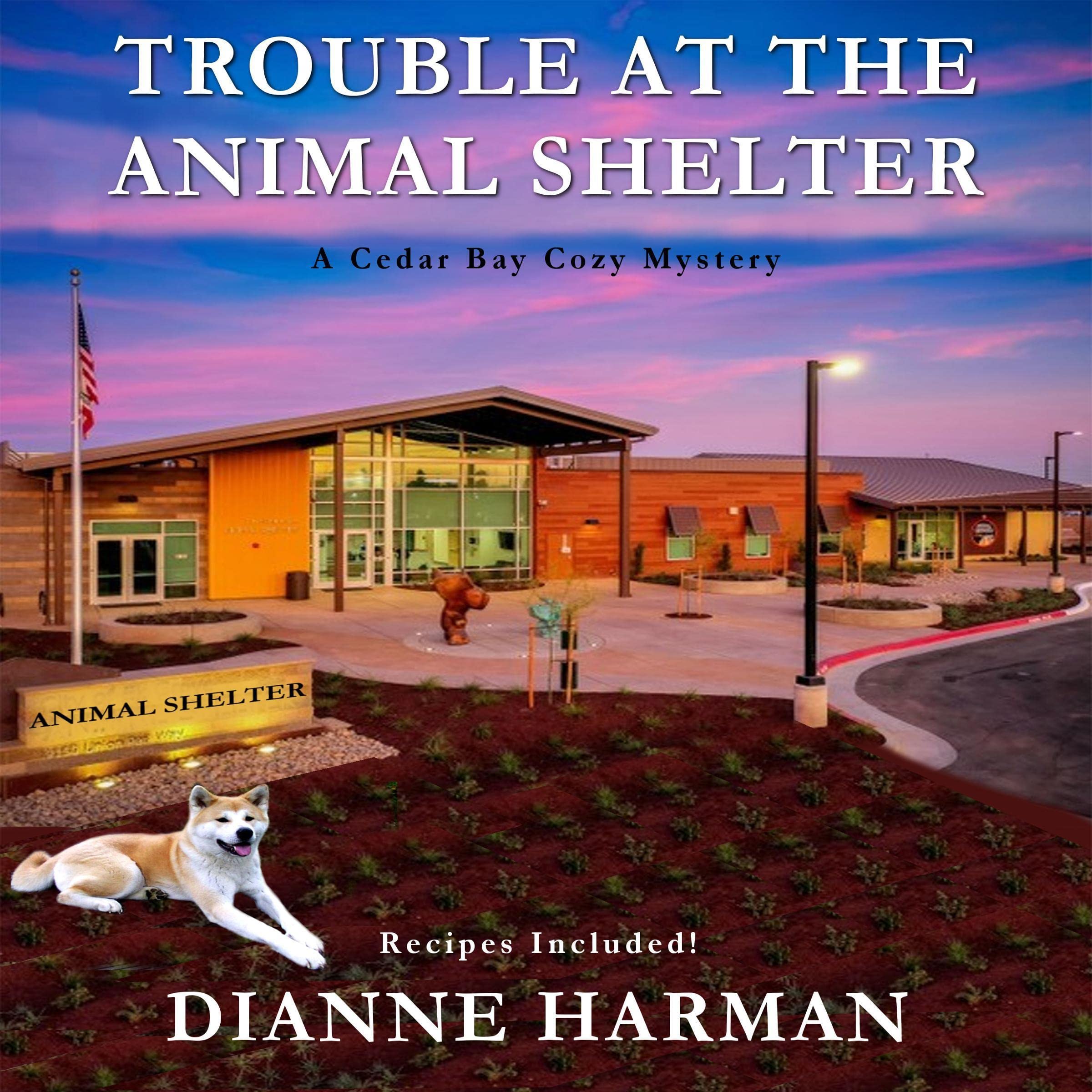 Cover art for Trouble at the Animal Shelter