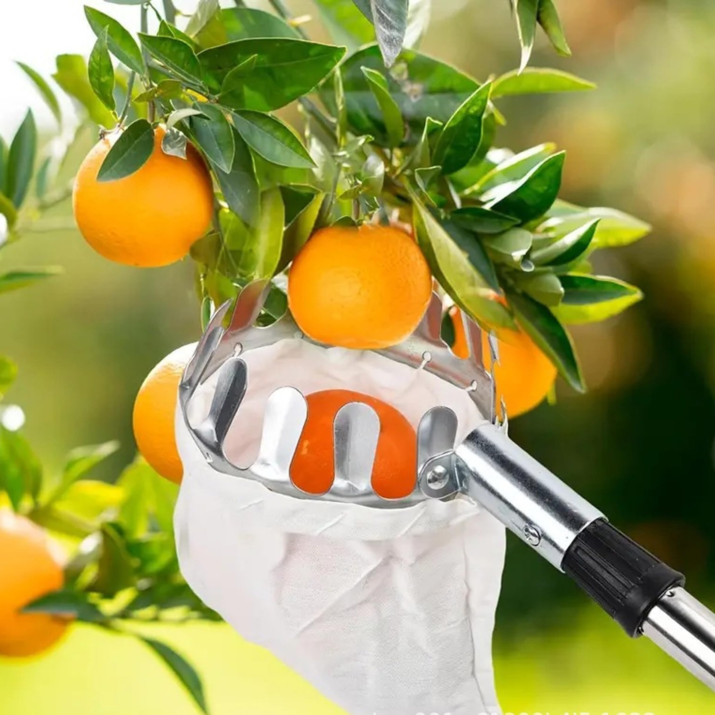 Recogedor de Frutas, Poste recolector de Frutas telescópico de 10 Secciones con Cesta: se extiende hasta 4 m/13, 12 pies, portátil para Manzanas, ciruelas, Plateado y Verde