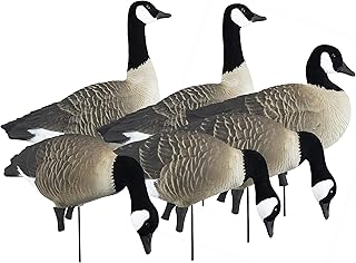 Higdon Outdoors APEX Full-Size Full-Body Variety Pk, Canada Goose