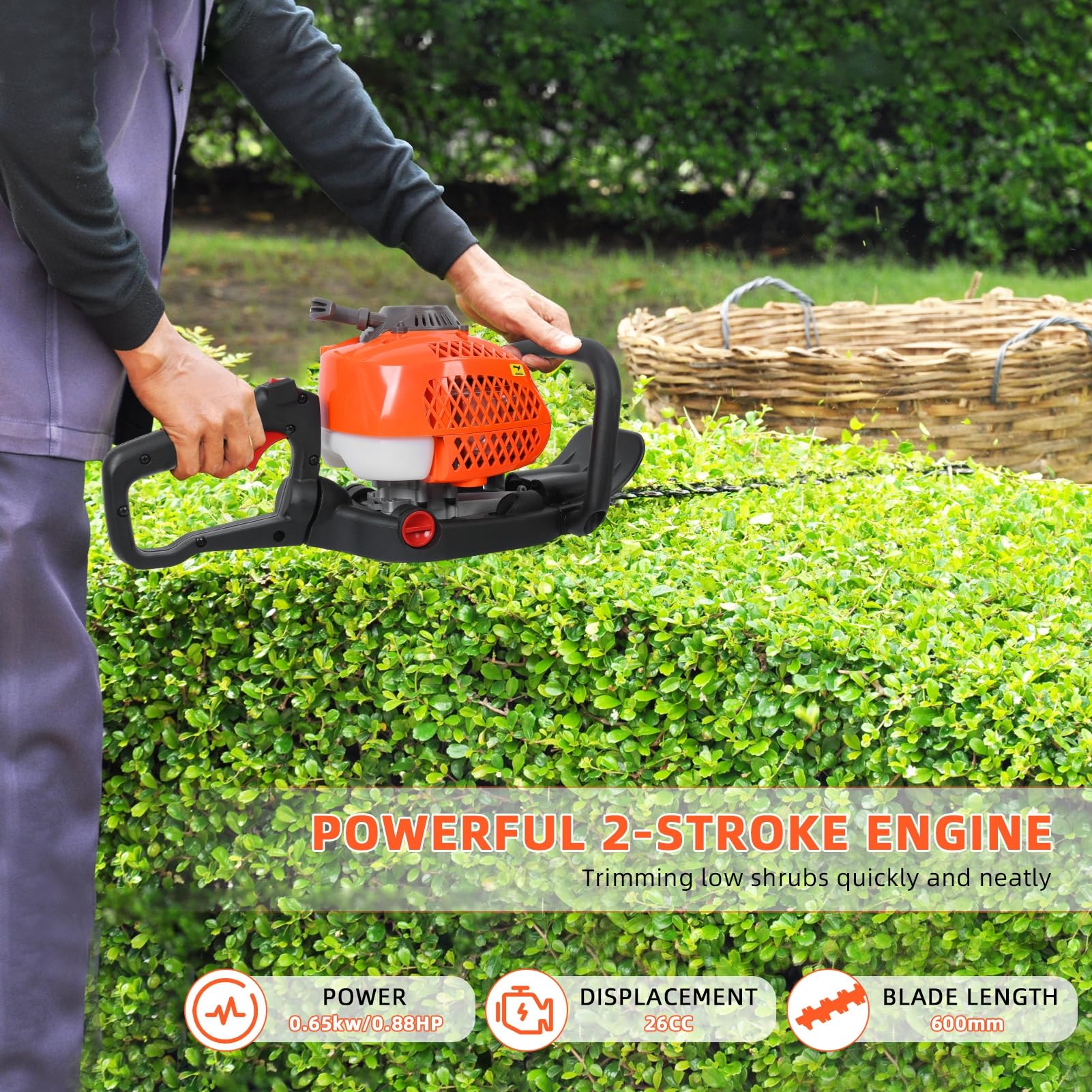 Cortasetos a Gasolina 26cc con Cuchilla Doble de 60 cm, Modelo Ligero de Metal con Mango Ergonómico, Eje Desmontable para Setos, Arbustos, Maleza y Jardines Exteriores y Huertos Naranja
