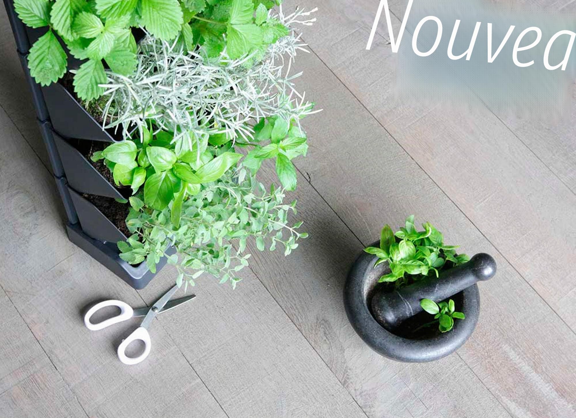 Jardinière verticale Prosperplast Mini Cascade en plastique de couleur anthracite 19,5 (L) x 11,4 (l) x 47,5 (H) cm avec ciseaux de jardinage