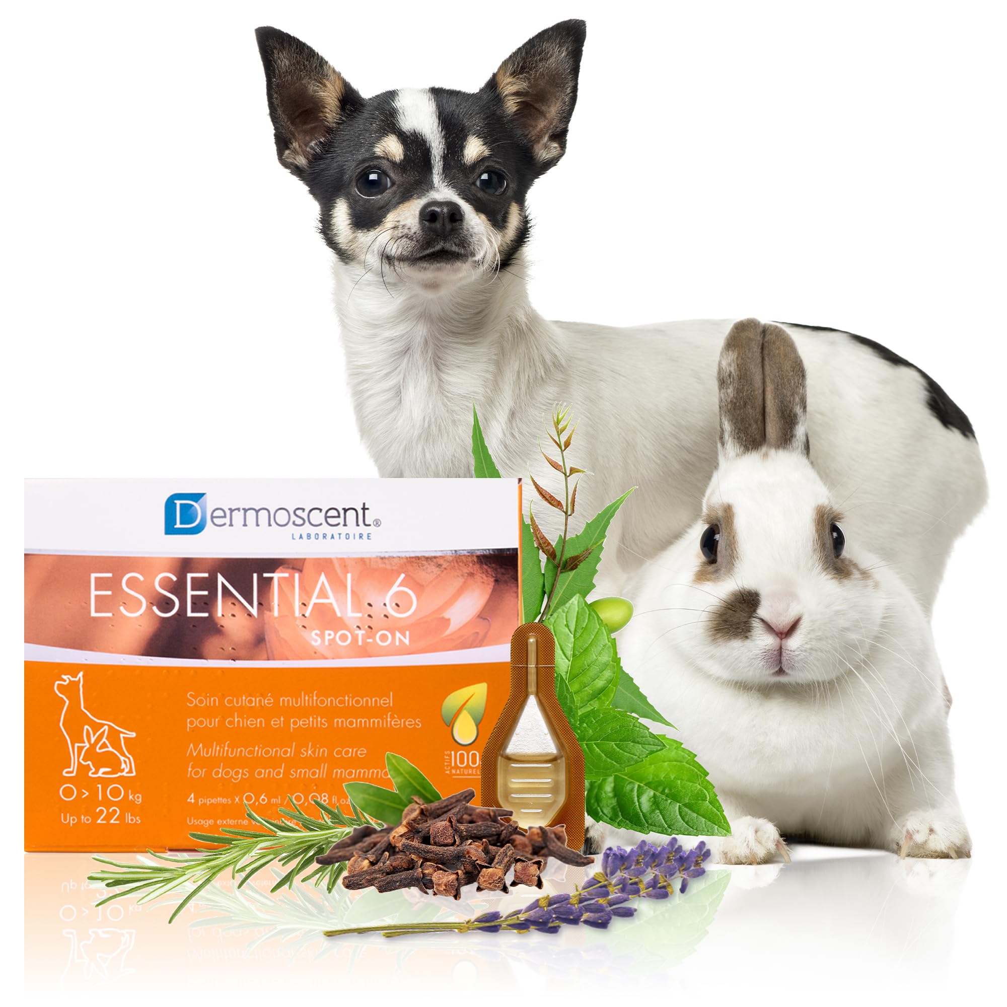 Dermoscent Essential 6 Spot-On | 4 x 0,6 ml | Für kleine Hunde, Katzen und Kleintiere | Kann zur Linderung von Juckreiz beitragen | Mit Vitamin E | Mühelose Anwendung