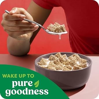 Kashi Breakfast Cereal, Organic, Whole Grain, Autumn Wheat, 18oz Box (1 Box)